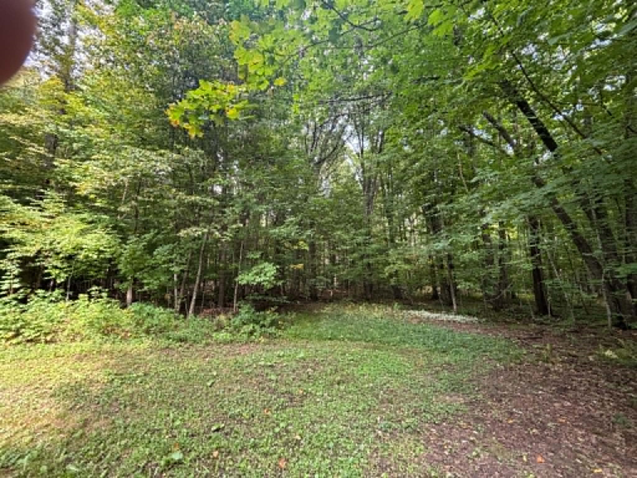 N13638 Dickerson Avenue Property Photo 6