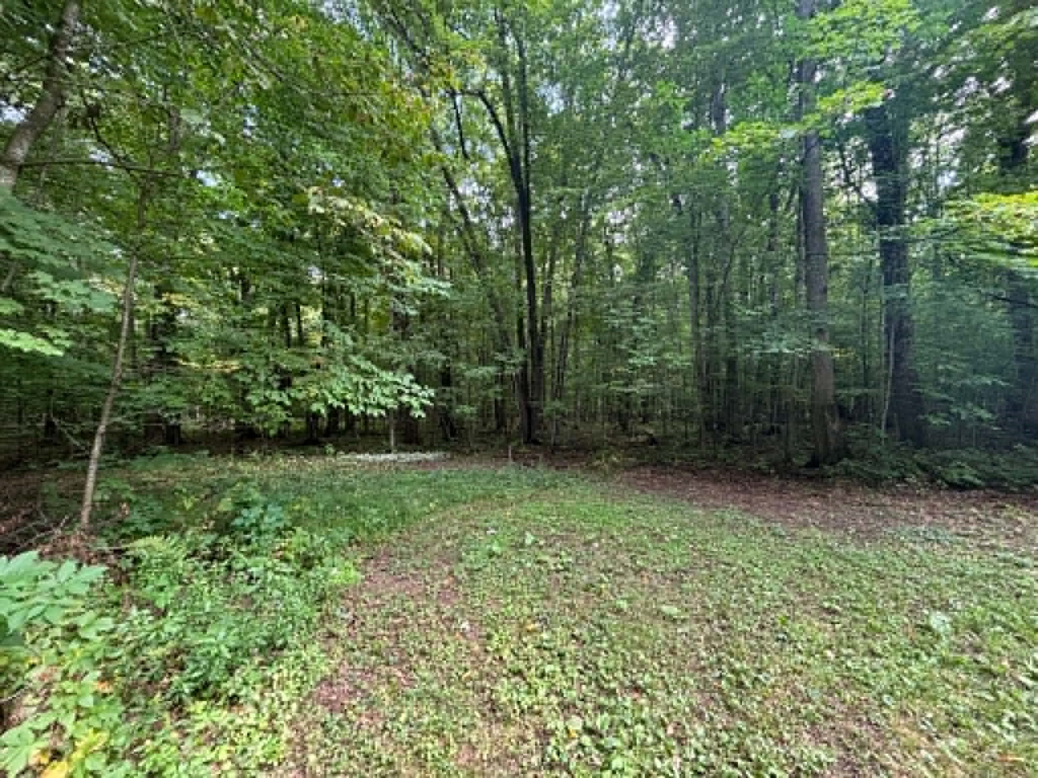 N13638 Dickerson Avenue Property Photo 37