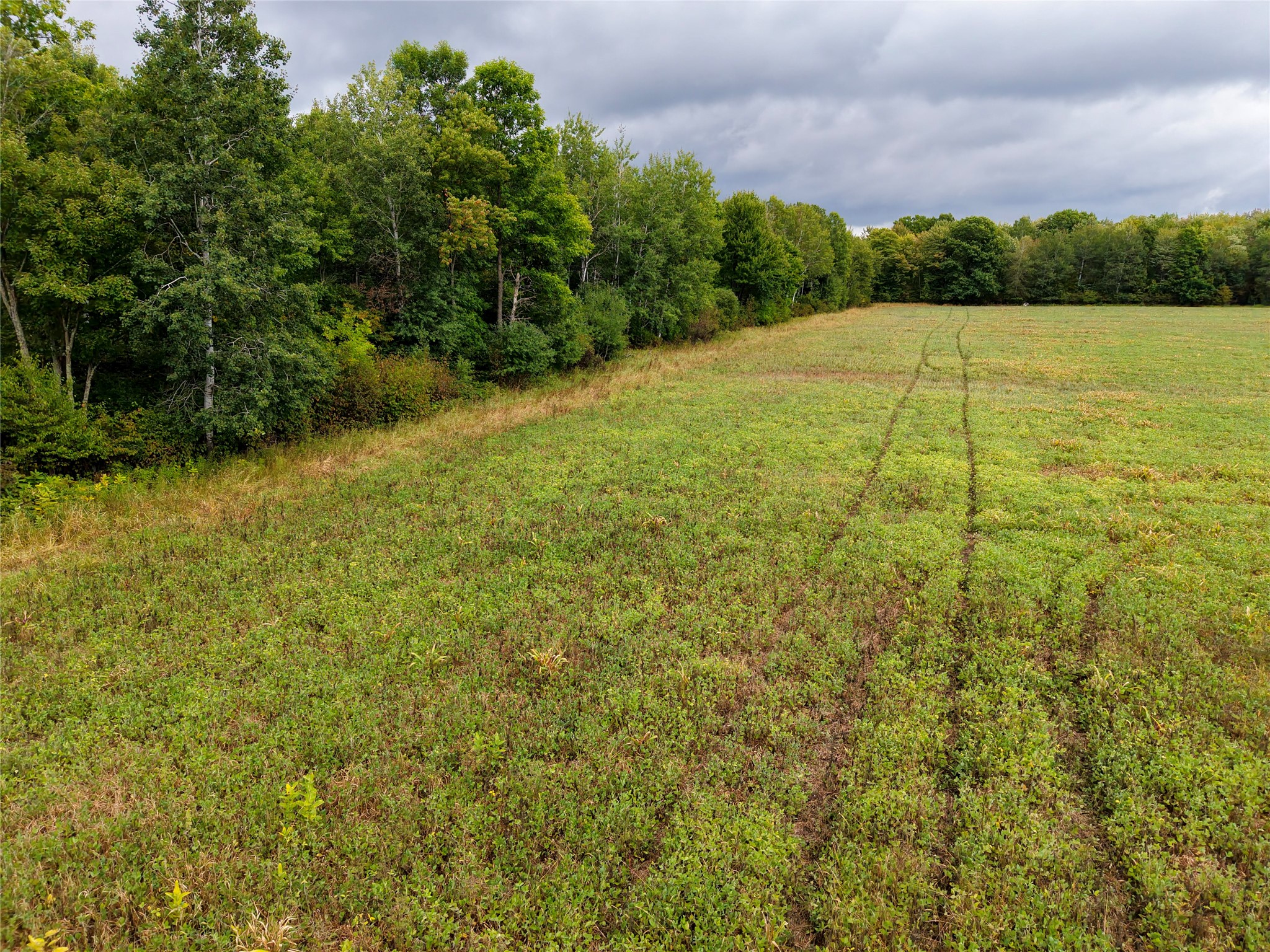 0000 Schalk Road Property Photo 8