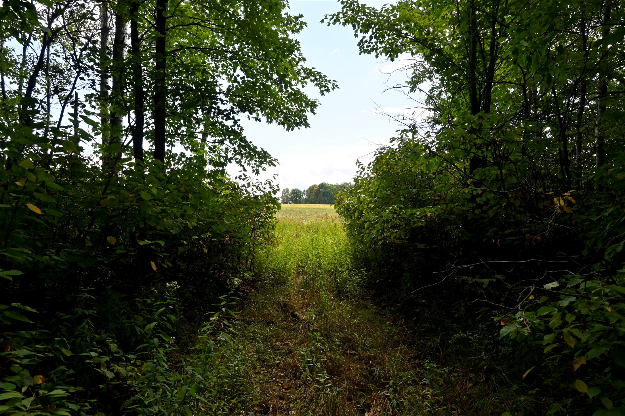 0000 Schalk Road Property Photo 10