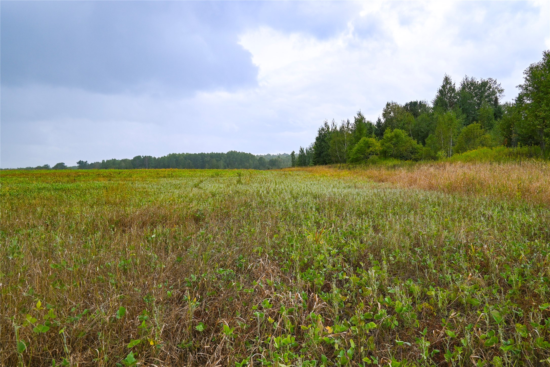 0000 County Road M Property Photo 19