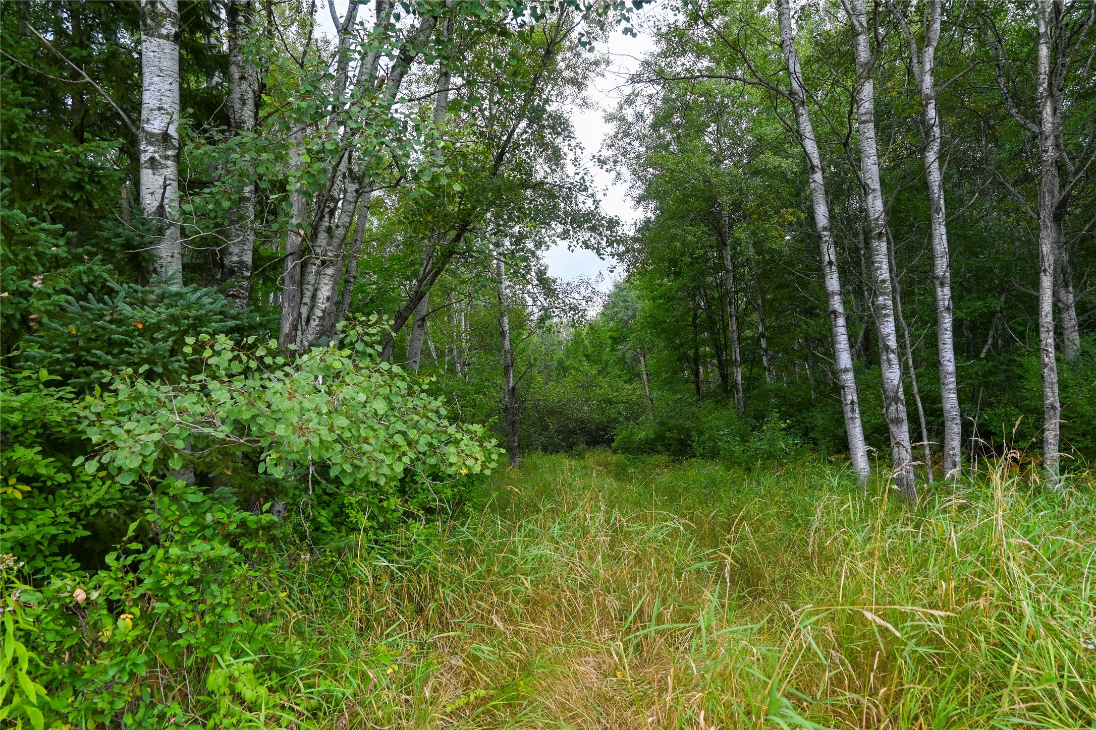 Xxxx County Road M Property Photo 14