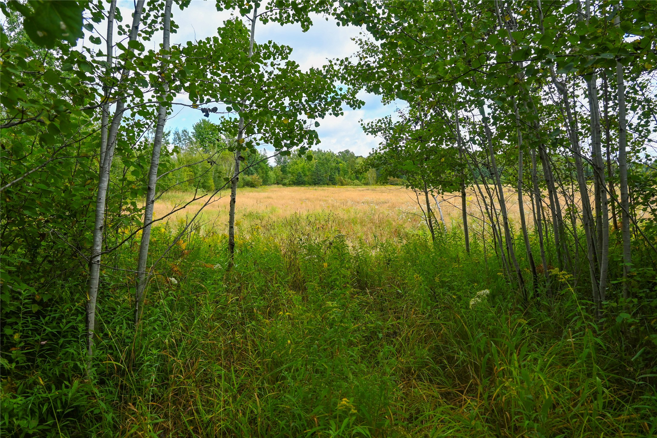 Xxxx County Road M Property Photo 17