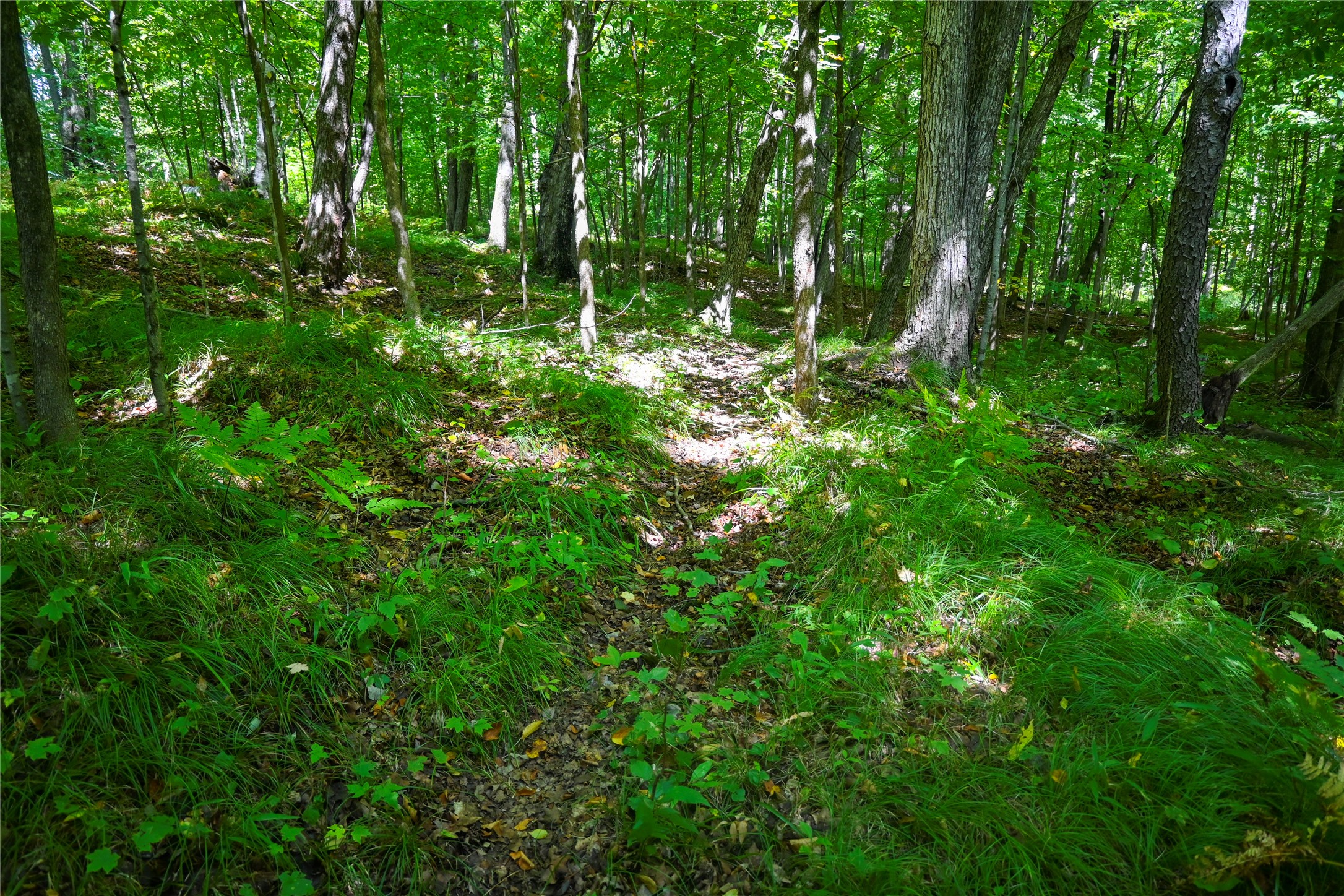 Xxxx County Road M Property Photo 18