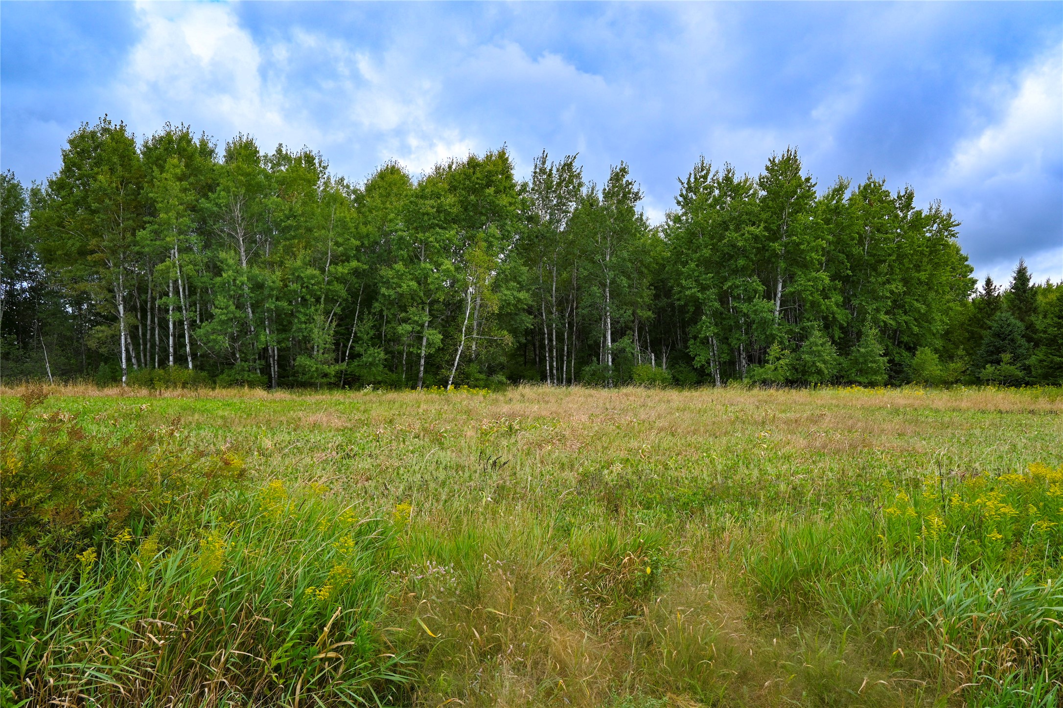 Xxxx County Road M Property Photo 20