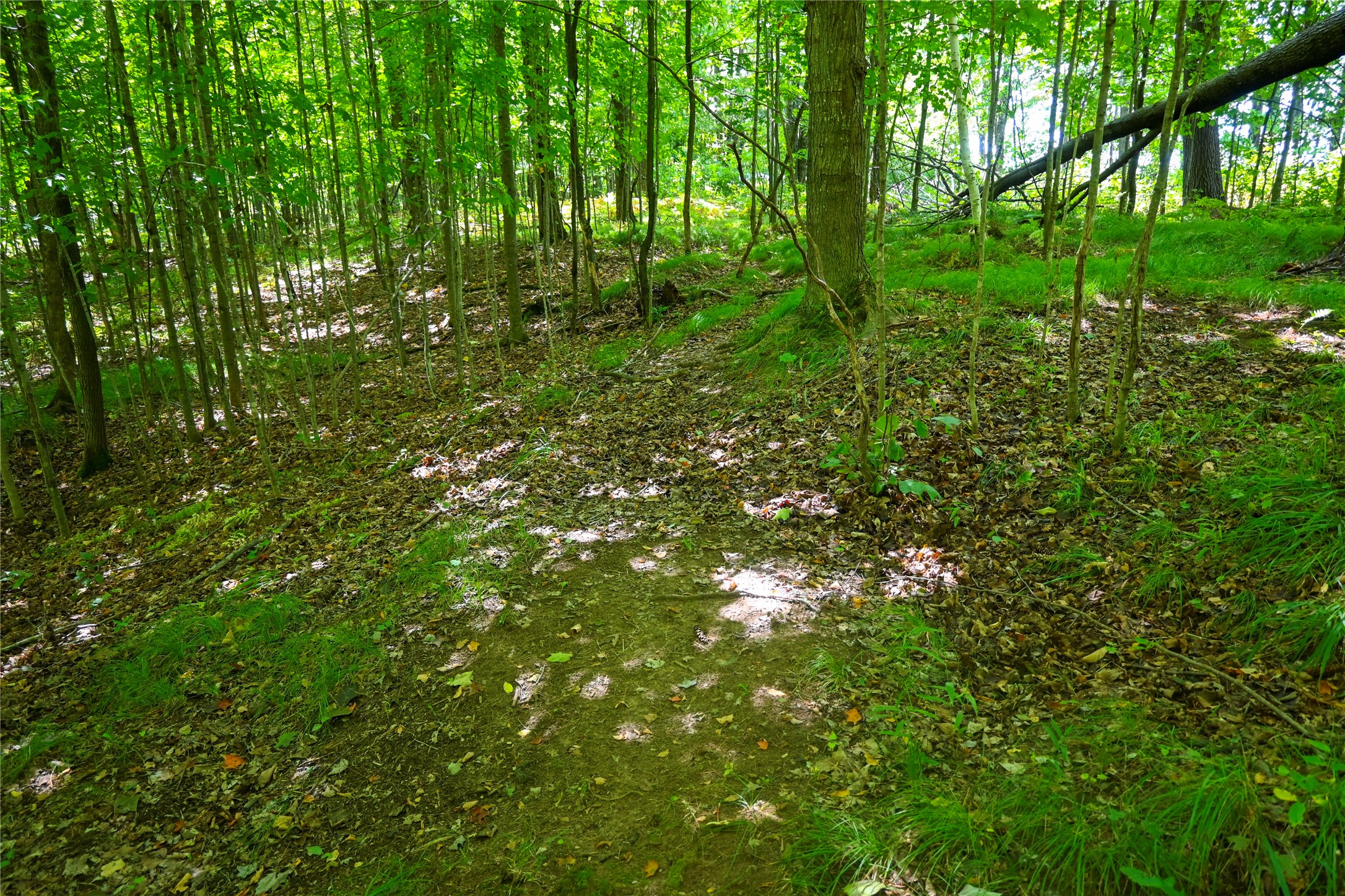 Xxxx County Road M Property Photo 25