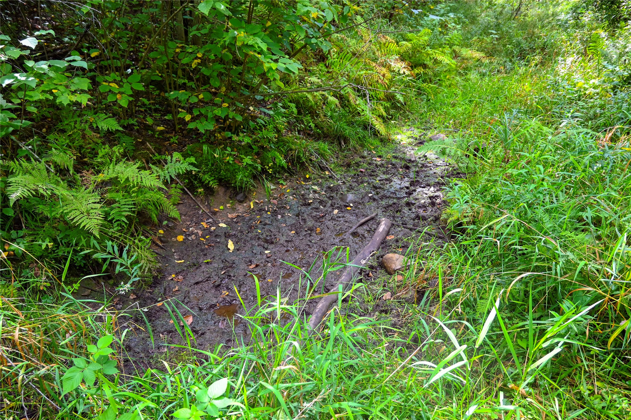 Xxxx County Road M Property Photo 27