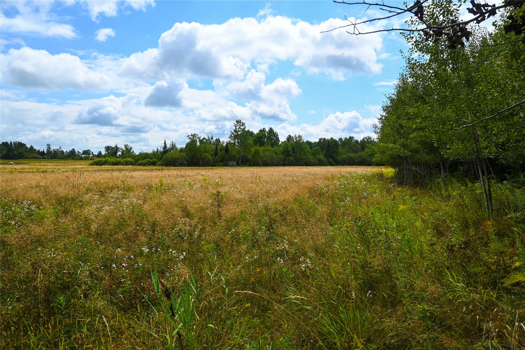 Xxxx County Road M Property Photo 30