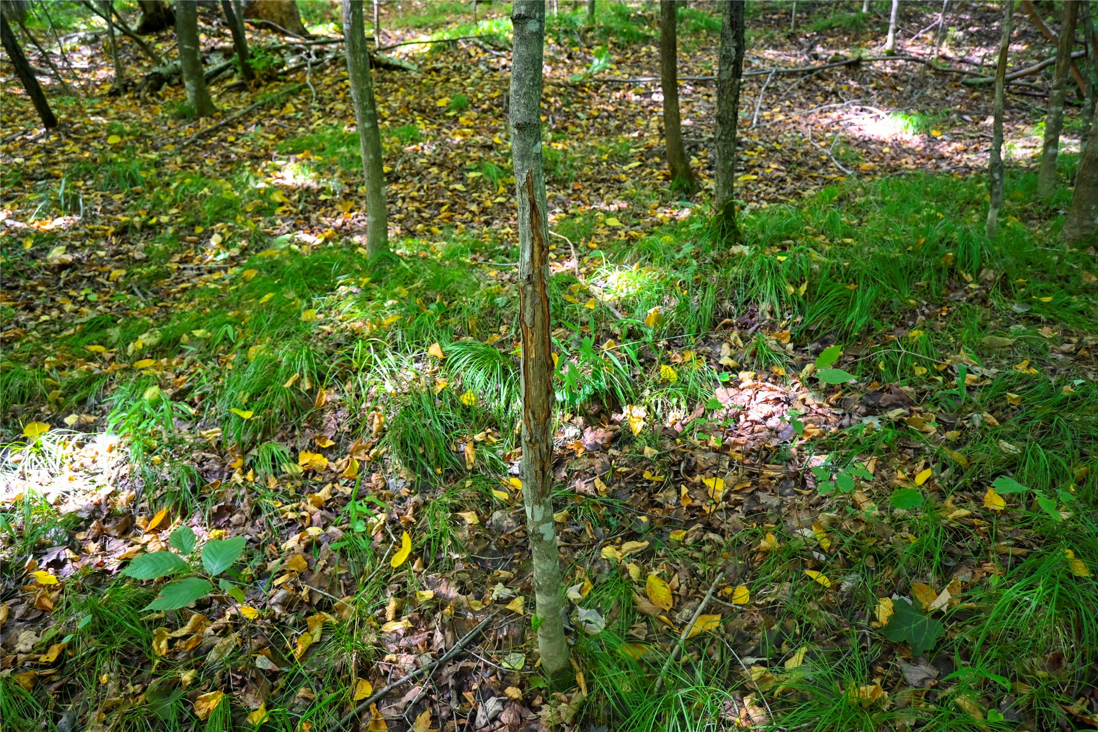 Xxxx County Road M Property Photo 31