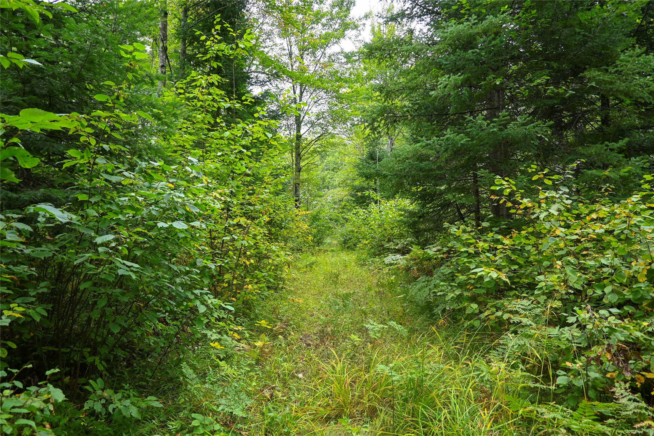 Xxxx County Road M Property Photo 33