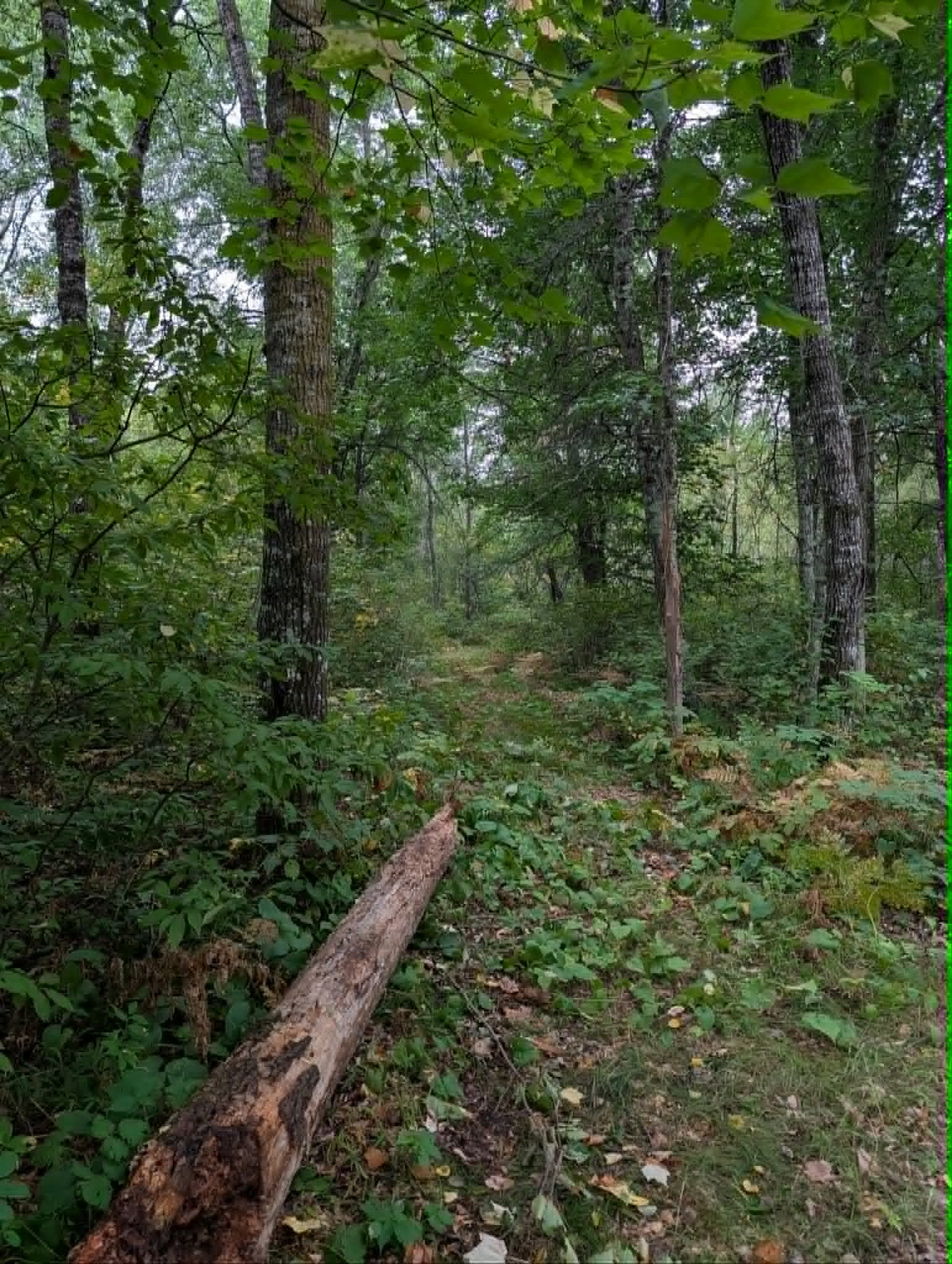 10501 N County Highway M Property Photo 14