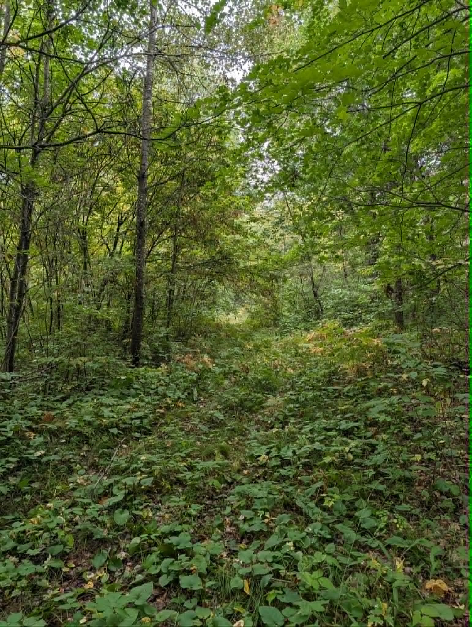 10501 N County Highway M Property Photo 15