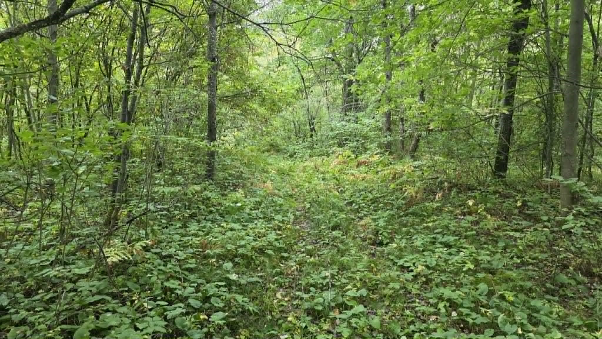 10501 N County Highway M Property Photo 17