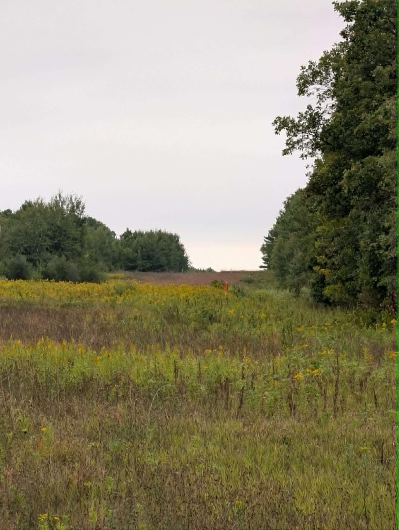 10501 N County Highway M Property Photo 20