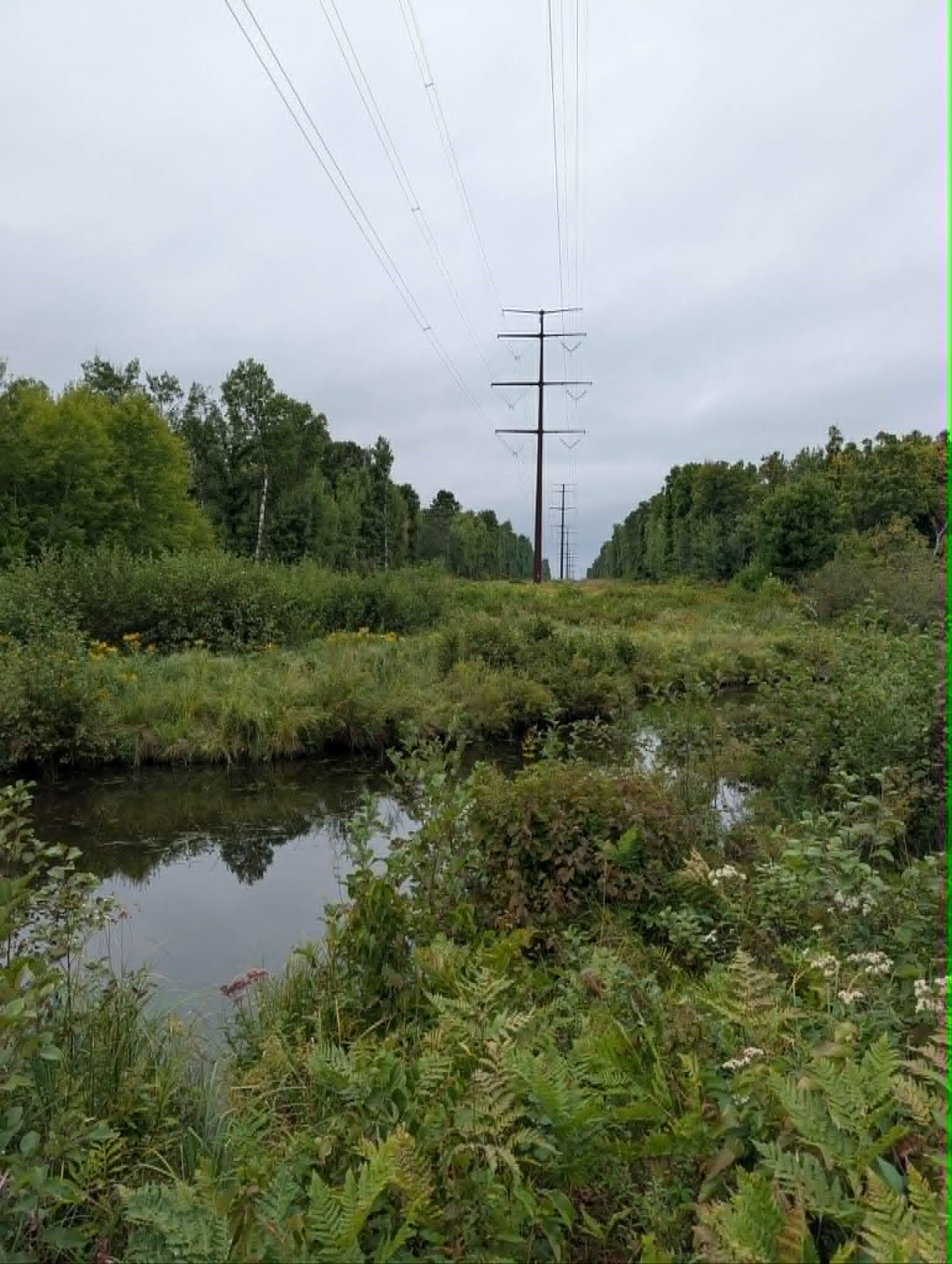 10501 N County Highway M Property Photo 23