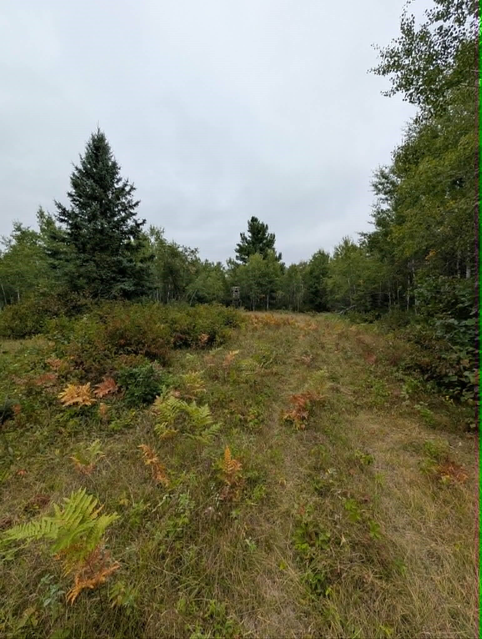 10501 N County Highway M Property Photo 24