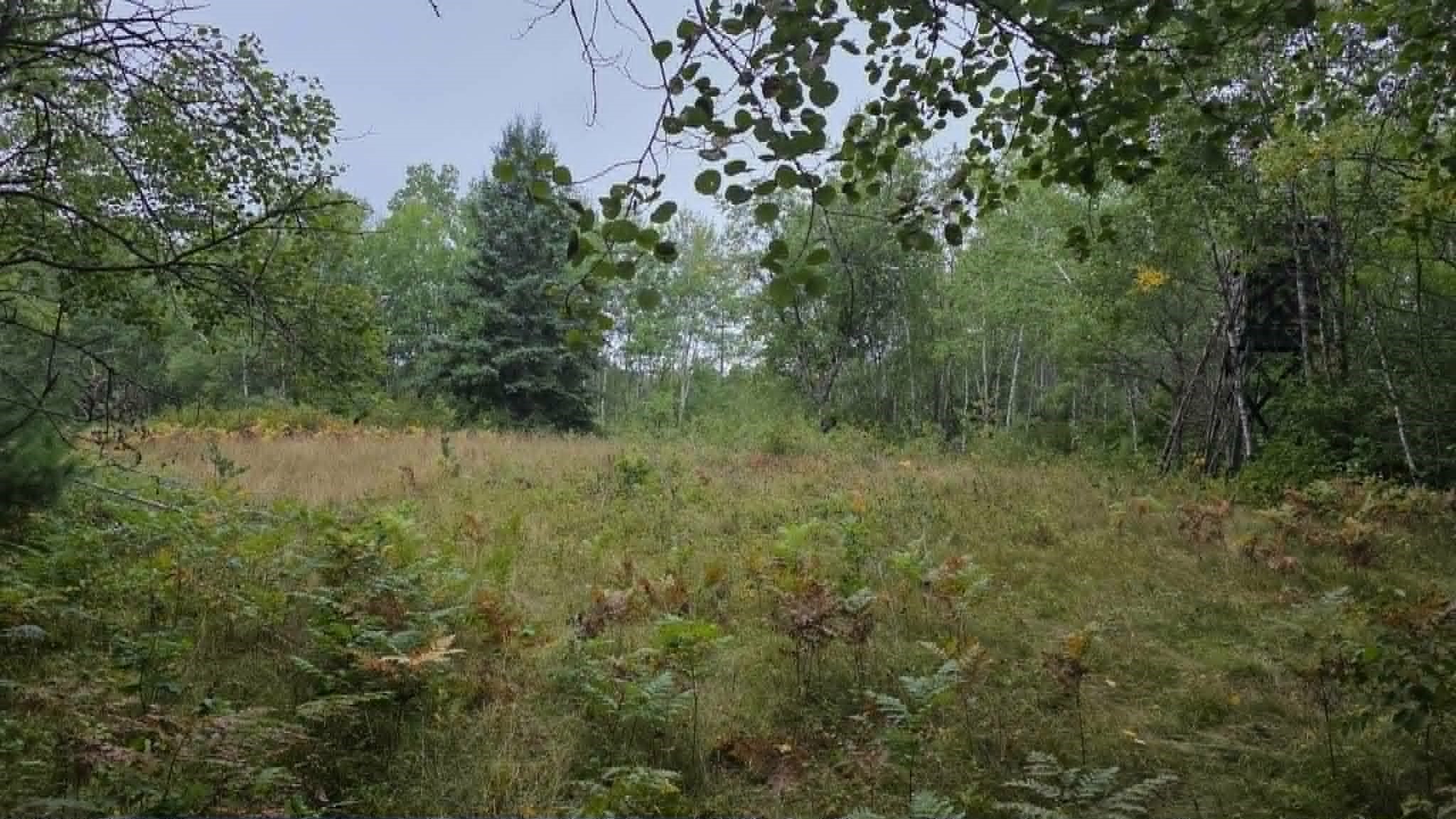 10501 N County Highway M Property Photo 25