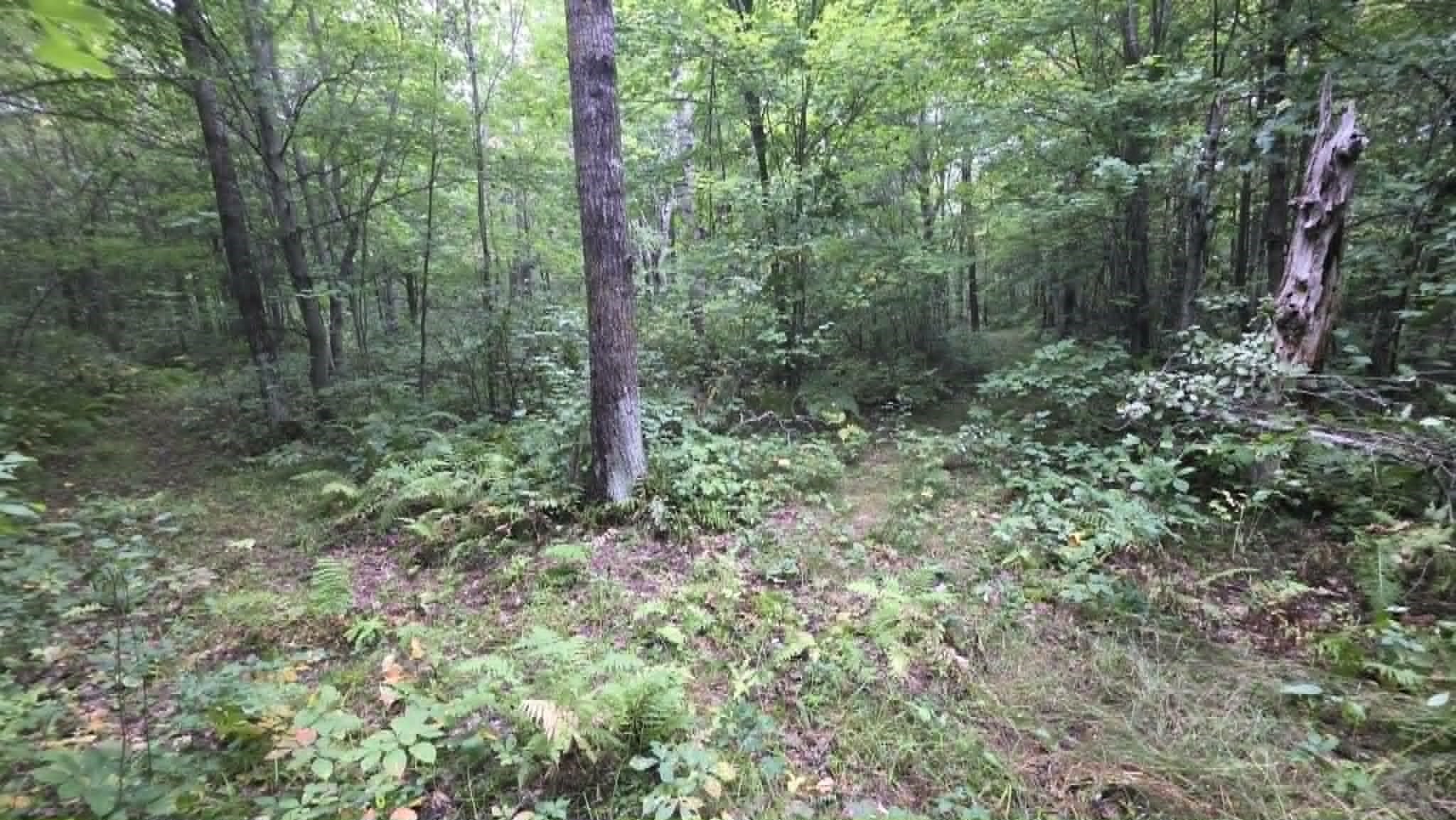 10501 N County Highway M Property Photo 27
