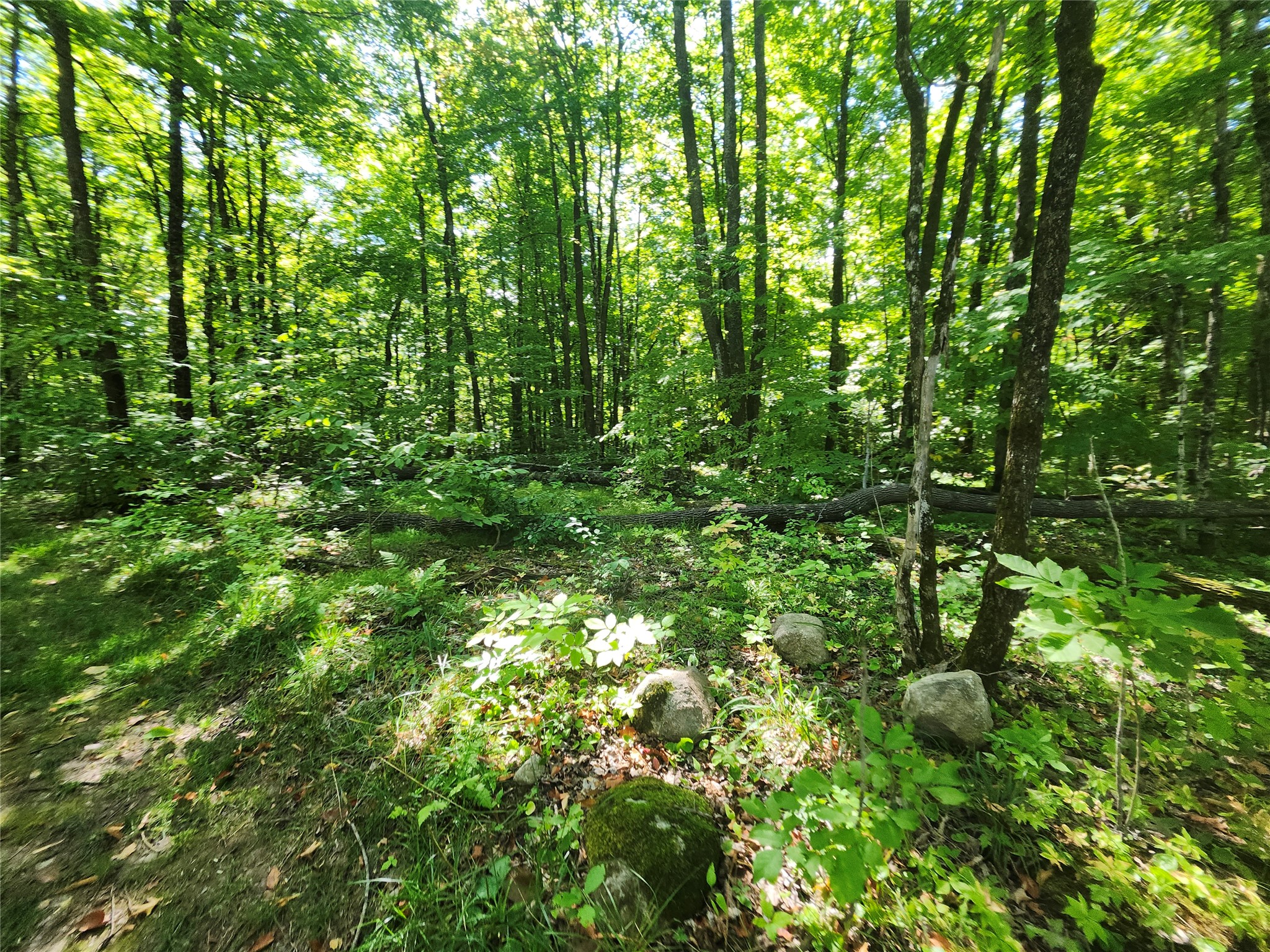 7295w Hemlock Haven Road Property Photo 28