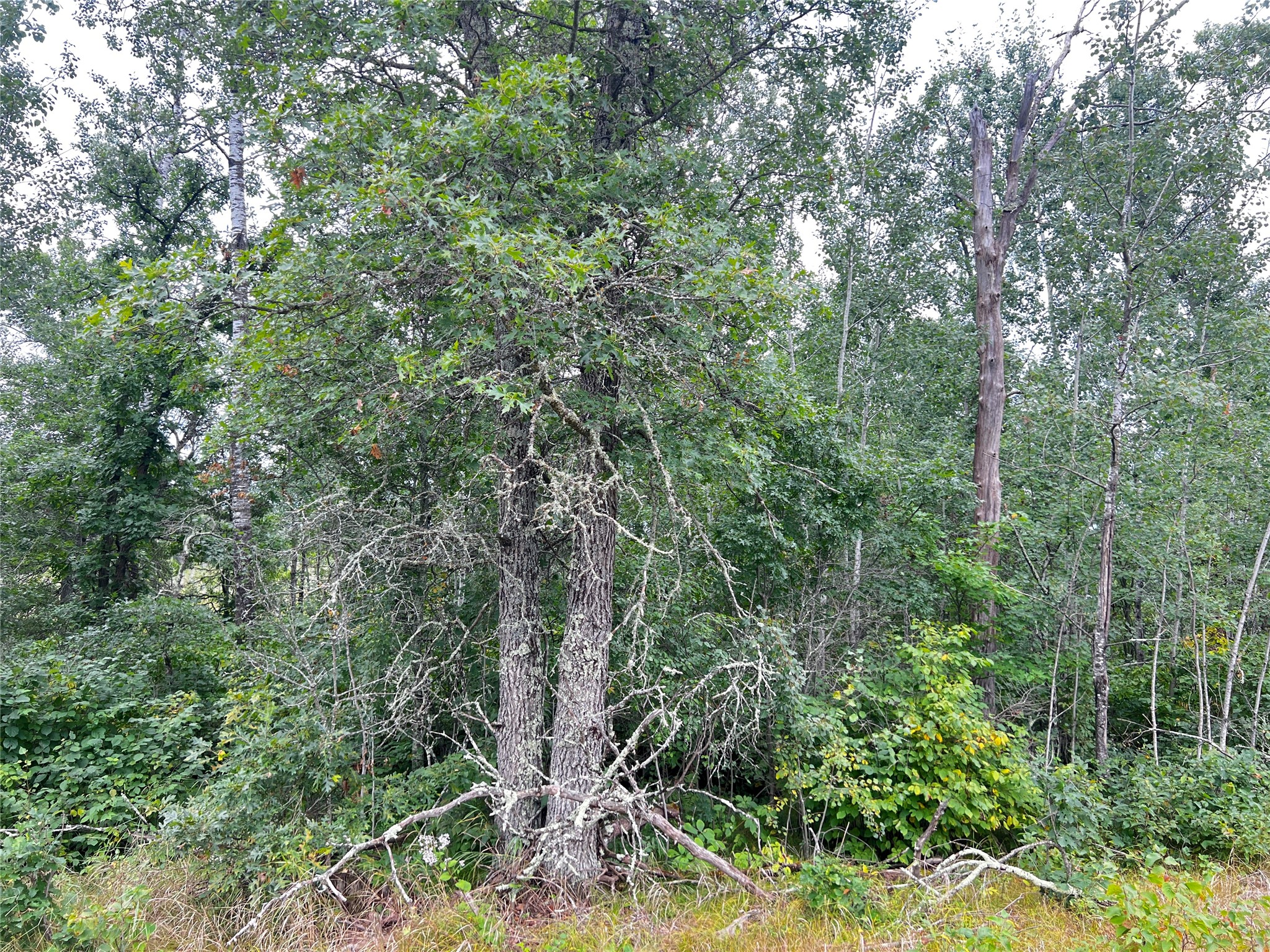 0 County Road T Property Photo 2
