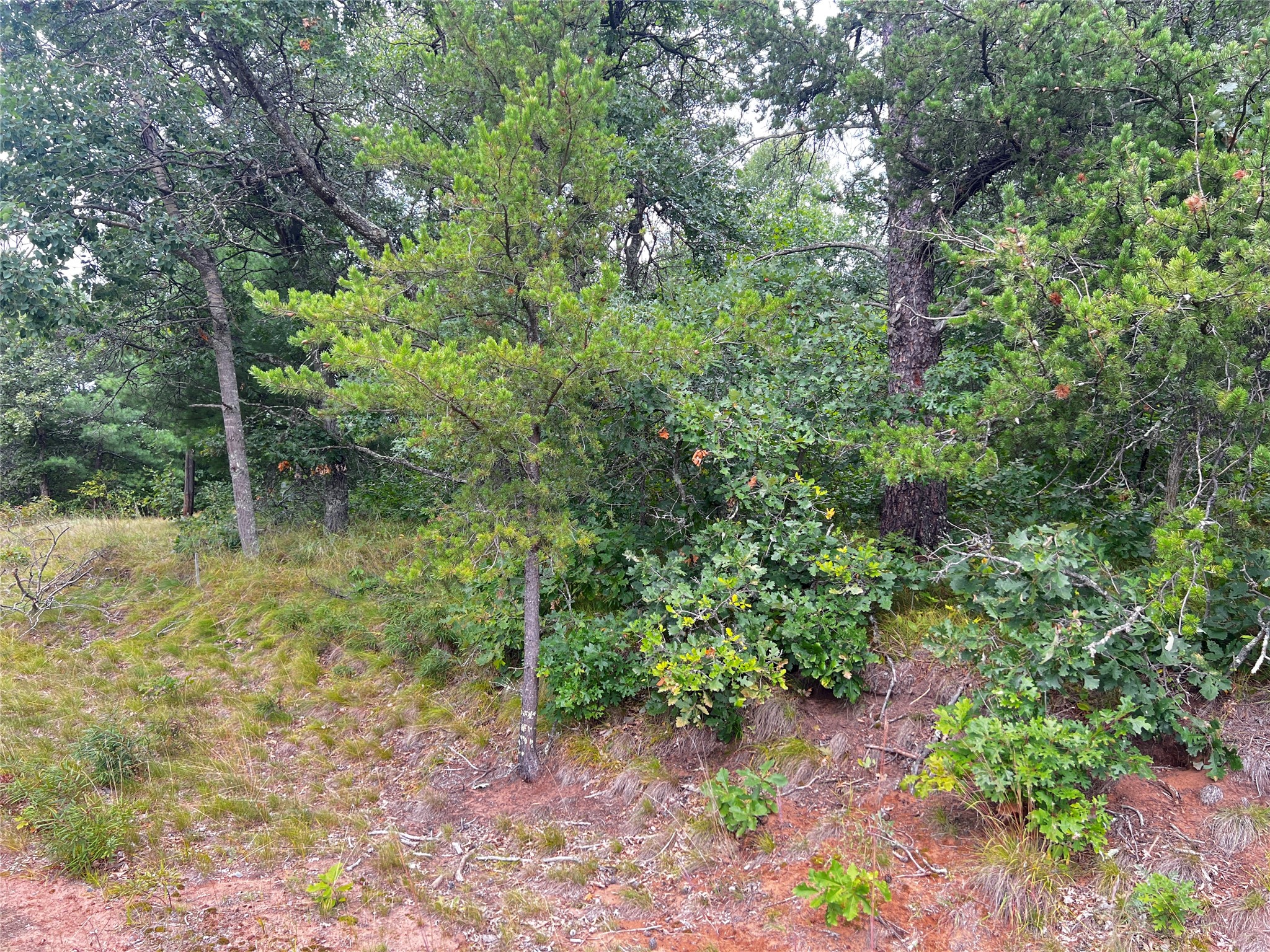 0 County Road T Property Photo 3