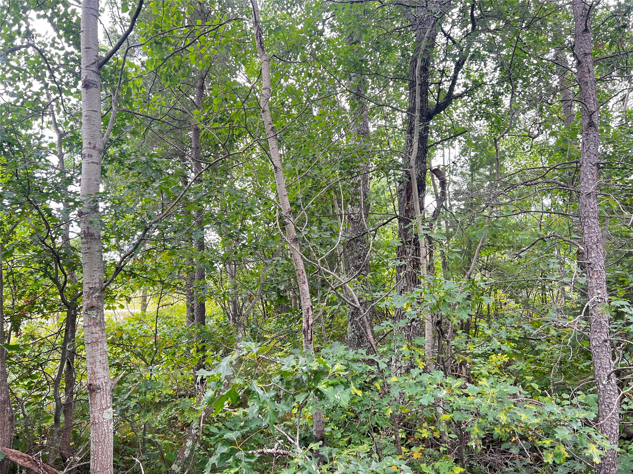 0 County Road T Property Photo 5