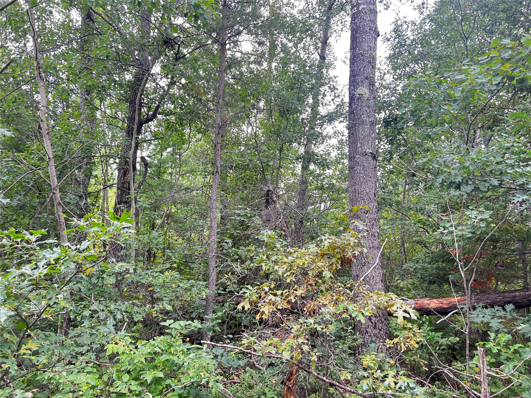 0 County Road T Property Photo 11