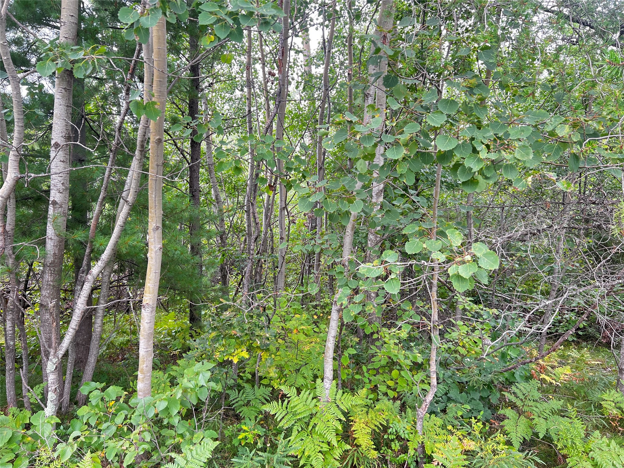 0 County Road T Property Photo 13