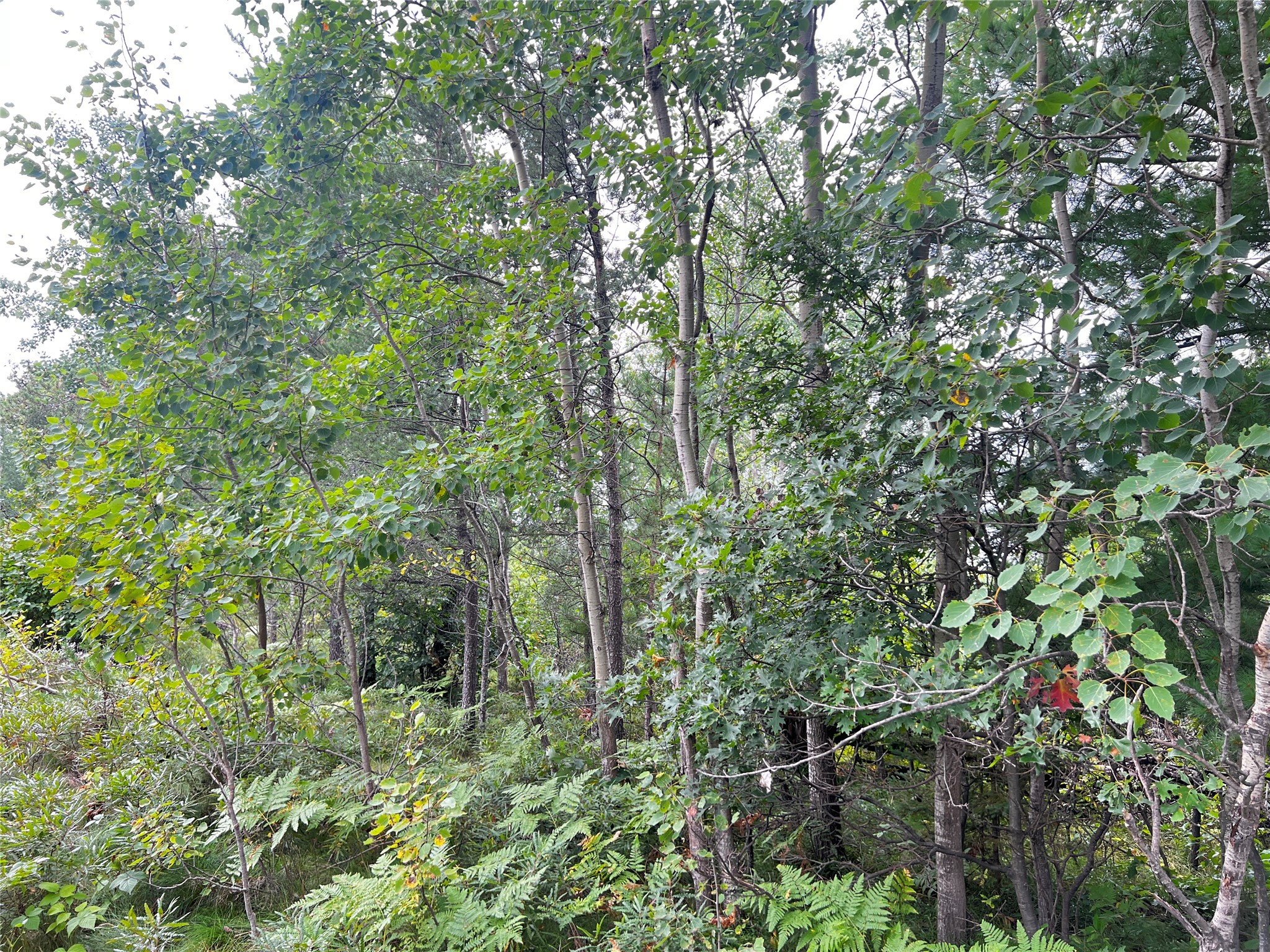 0 County Road T Property Photo 15