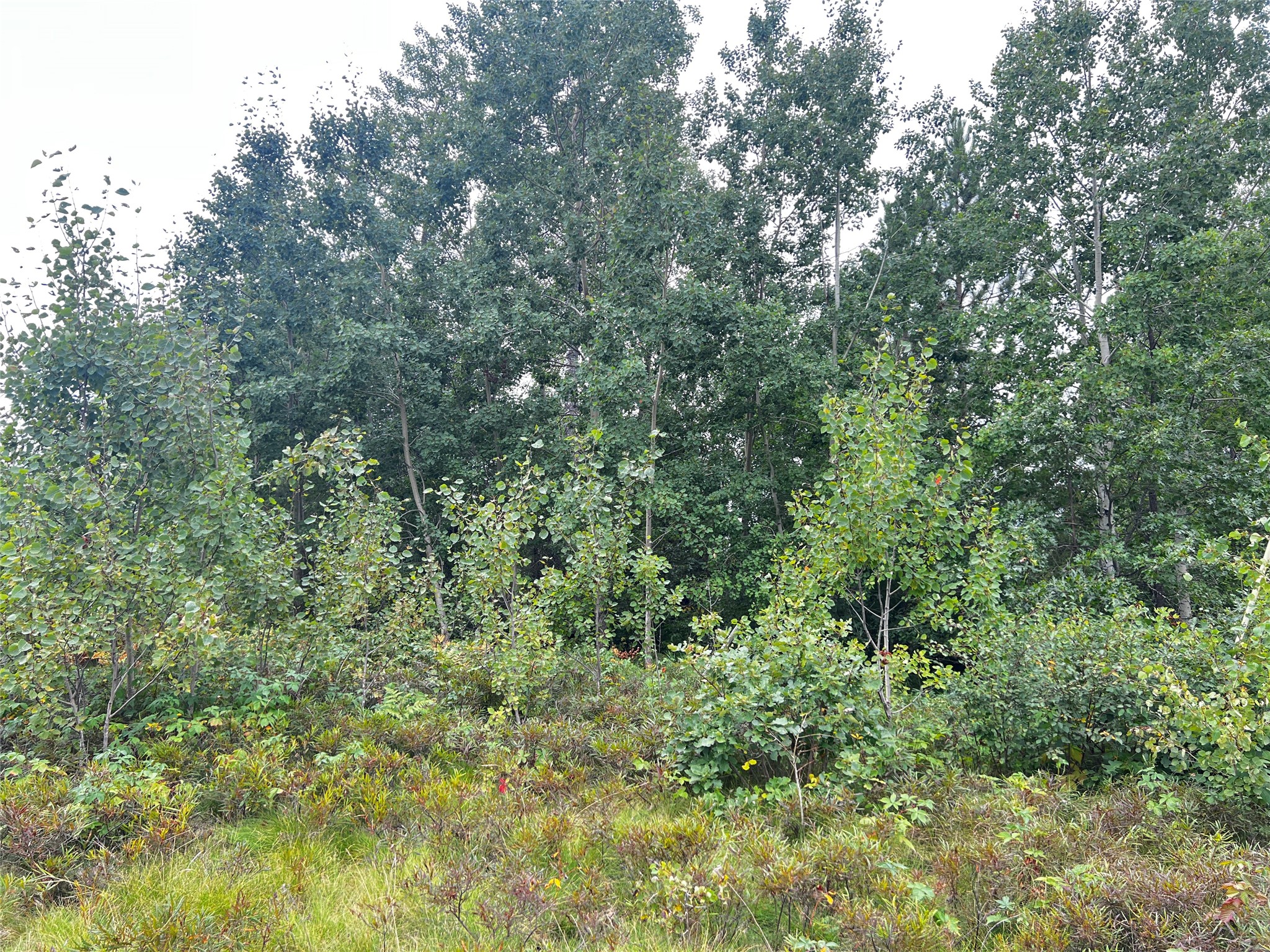 0 County Road T Property Photo 19