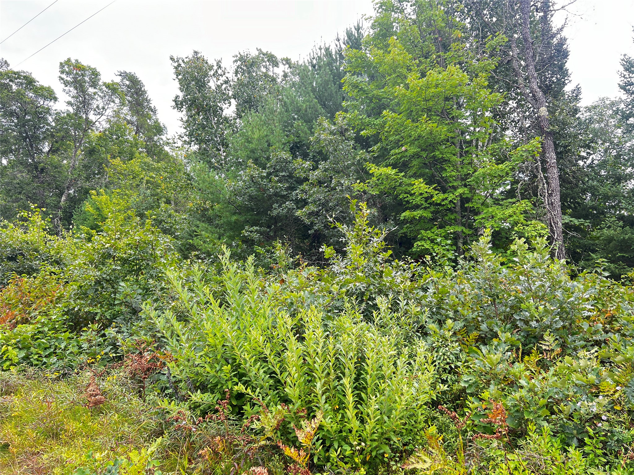 0 County Road T Property Photo 21