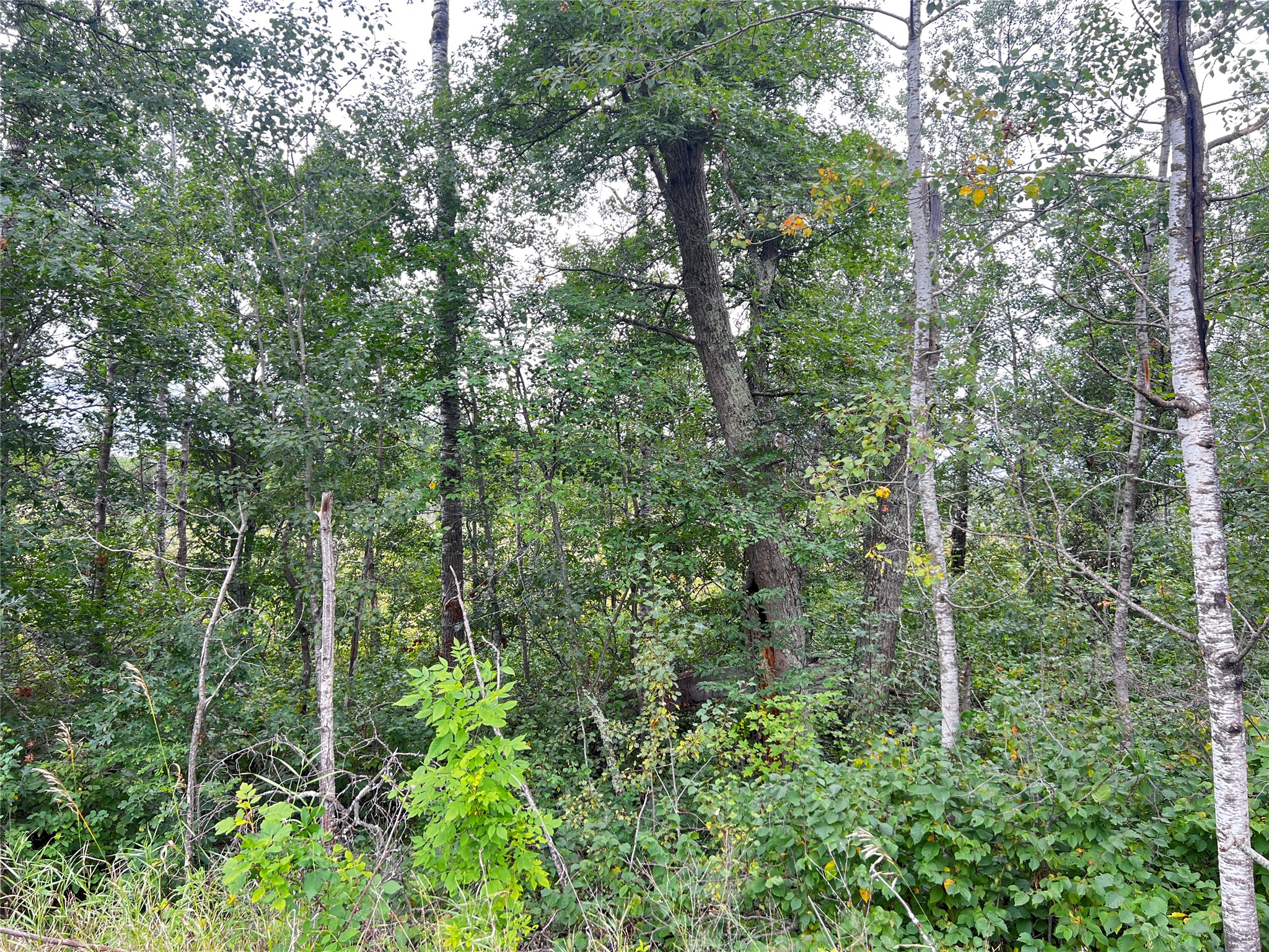 0 County Road T Property Photo 22