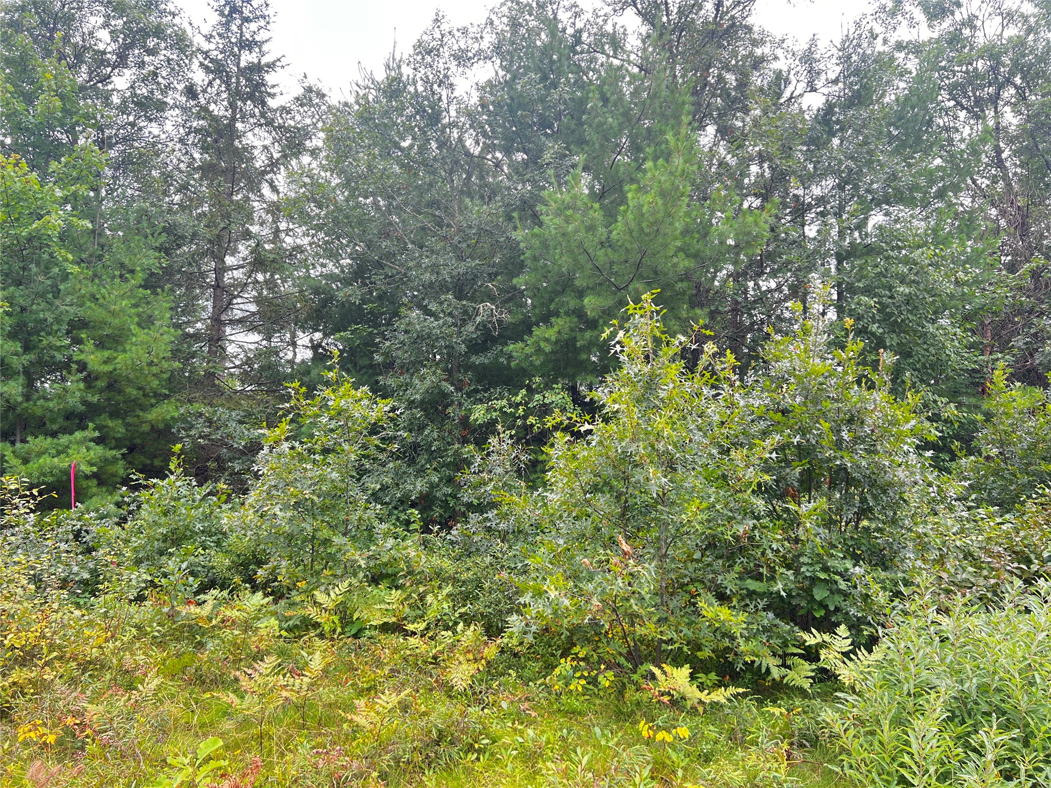 0 County Road T Property Photo 23