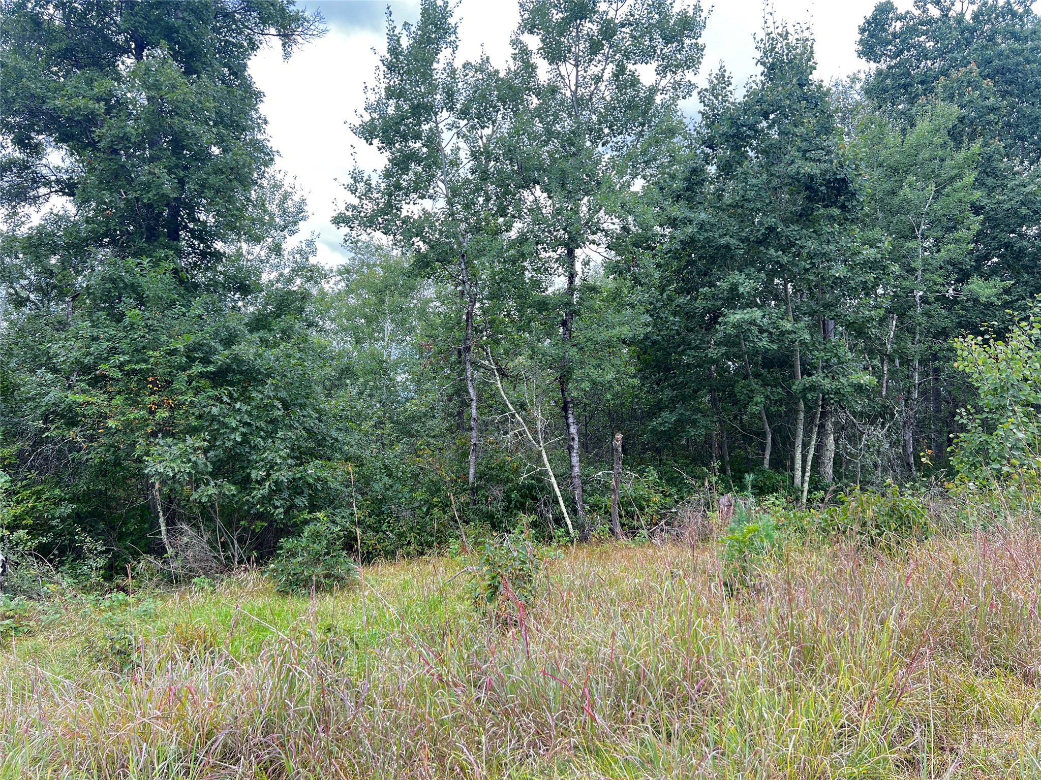 0 County Road T Property Photo 24