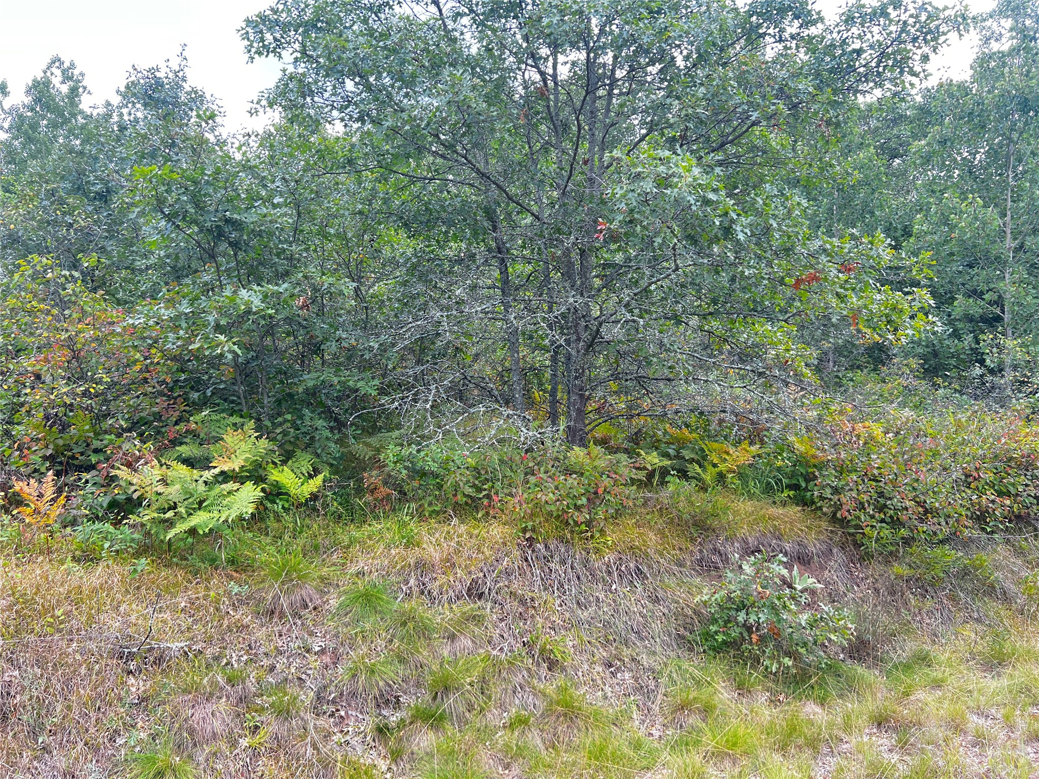 0 County Road T Property Photo 25