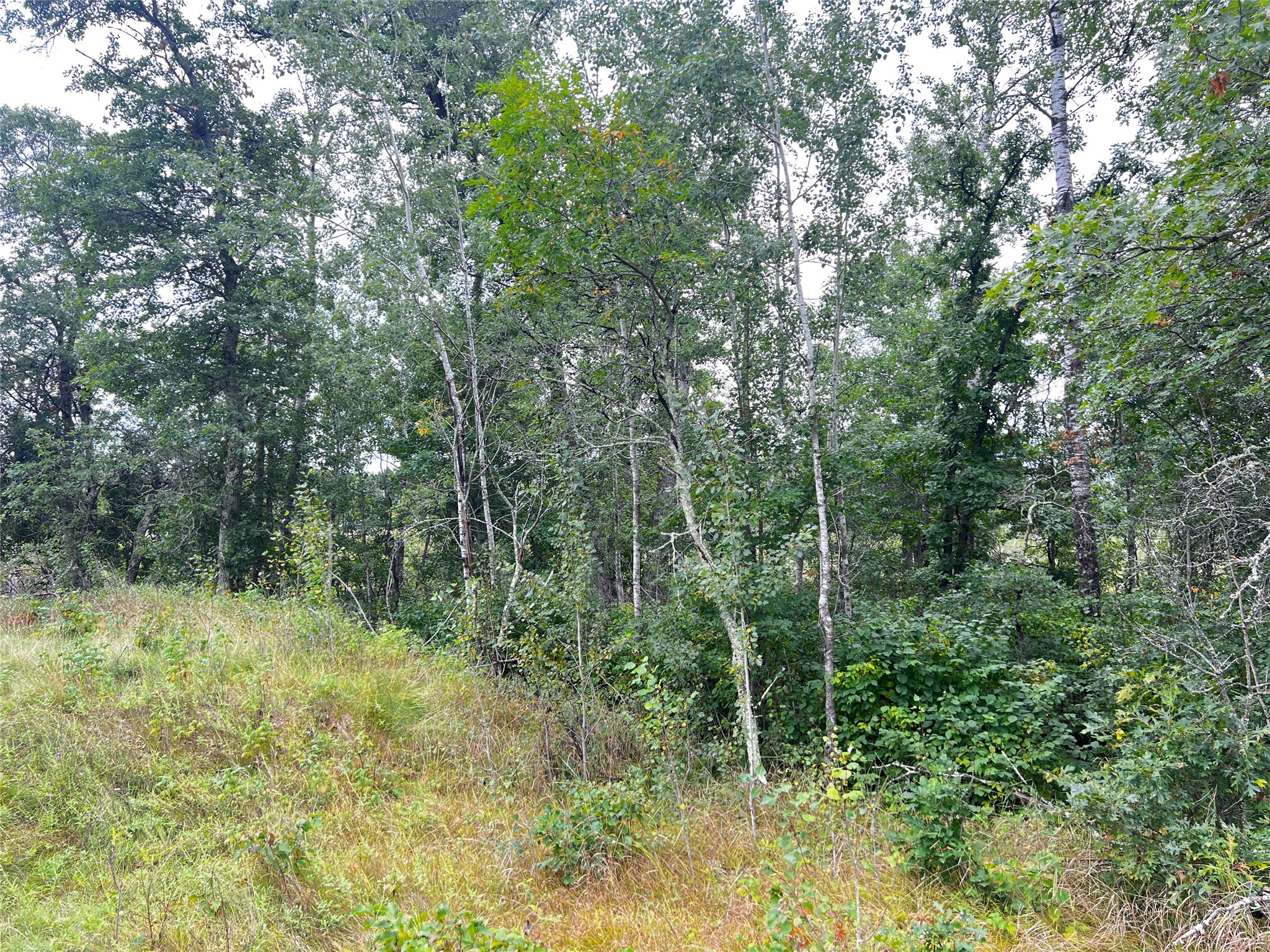 0 County Road T Property Photo 26