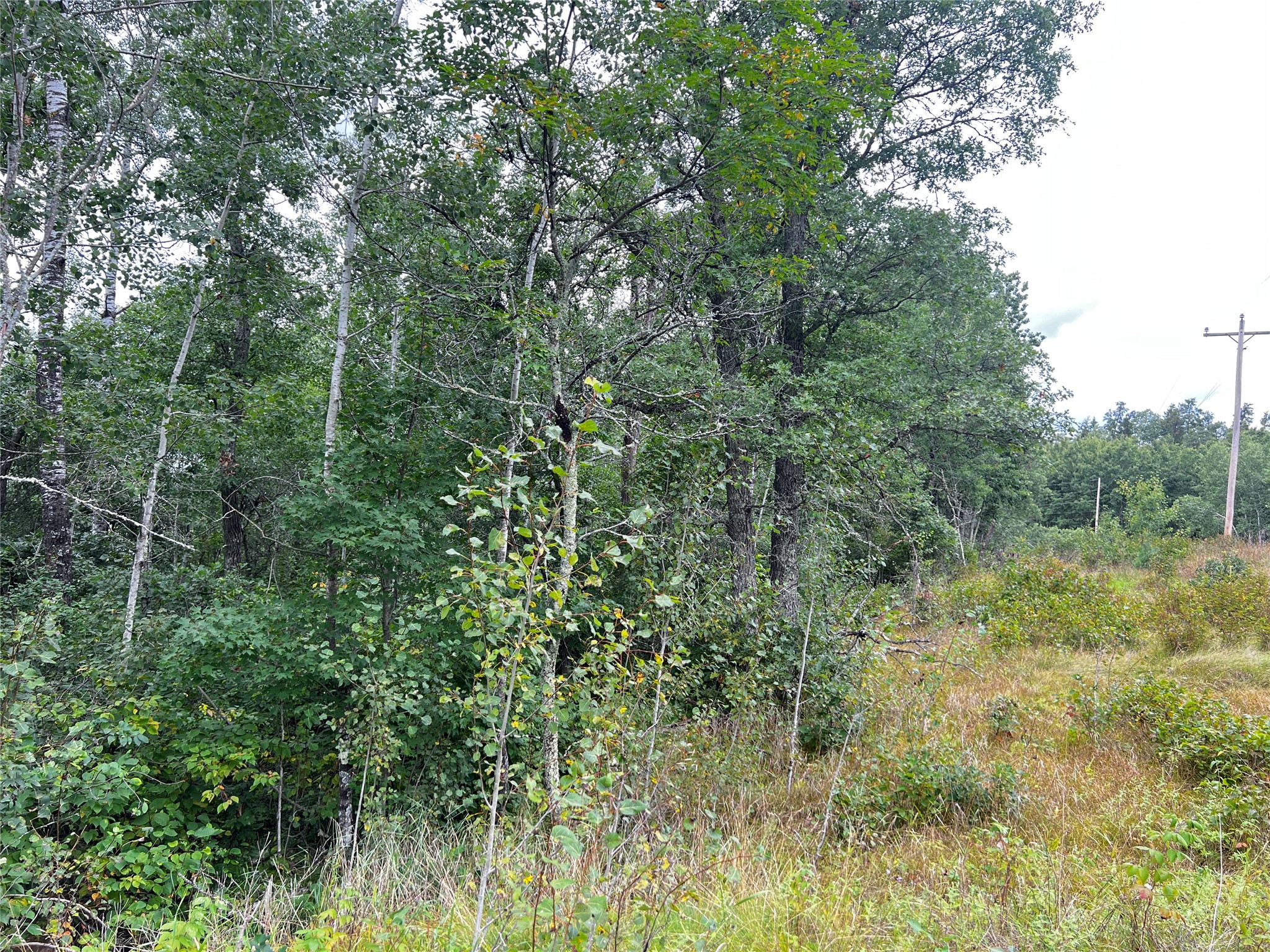 0 County Road T Property Photo 27