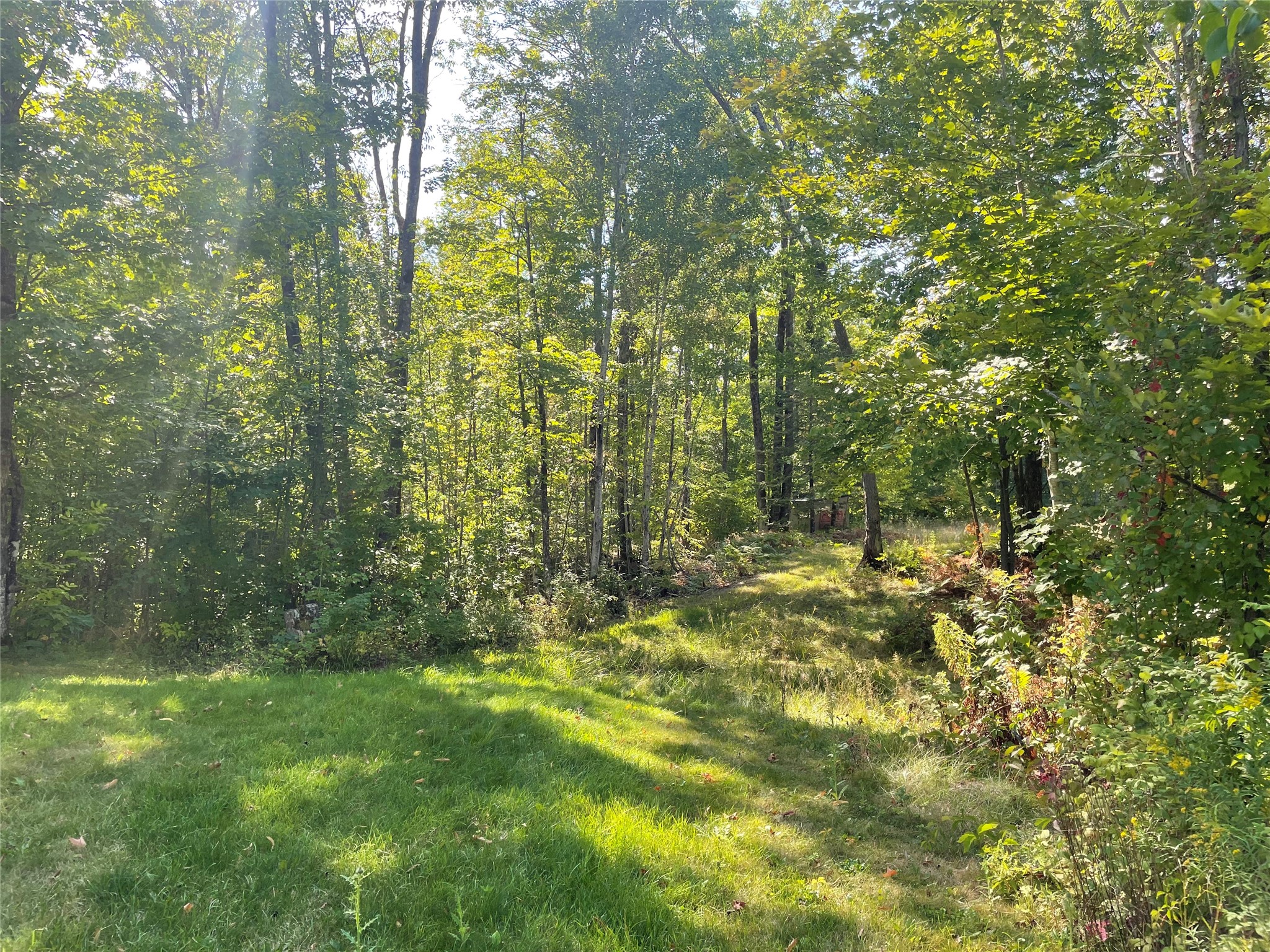 7154 W Mcdermott Road Property Photo 29