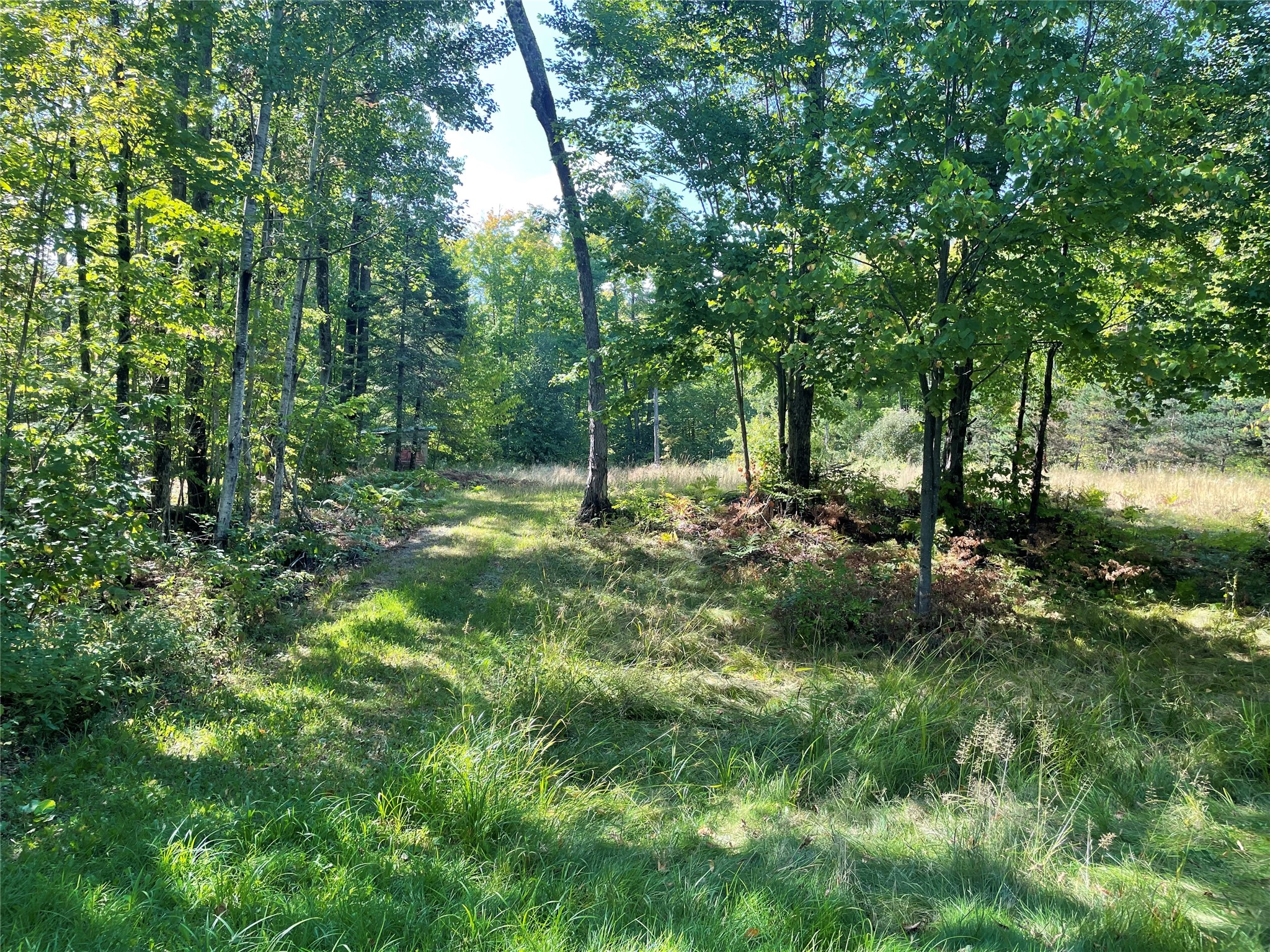 7154 W Mcdermott Road Property Photo 30