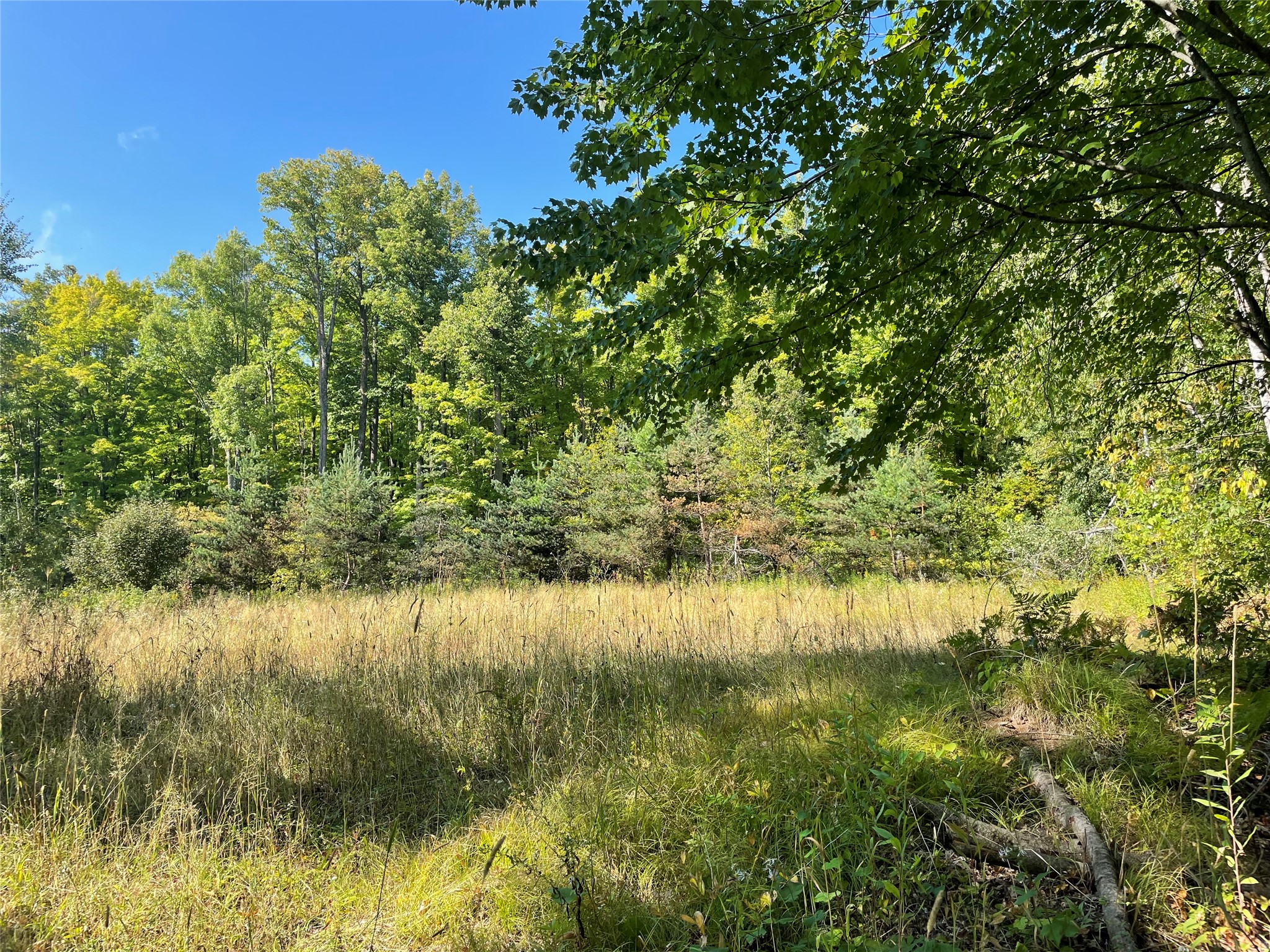 7154 W Mcdermott Road Property Photo 31