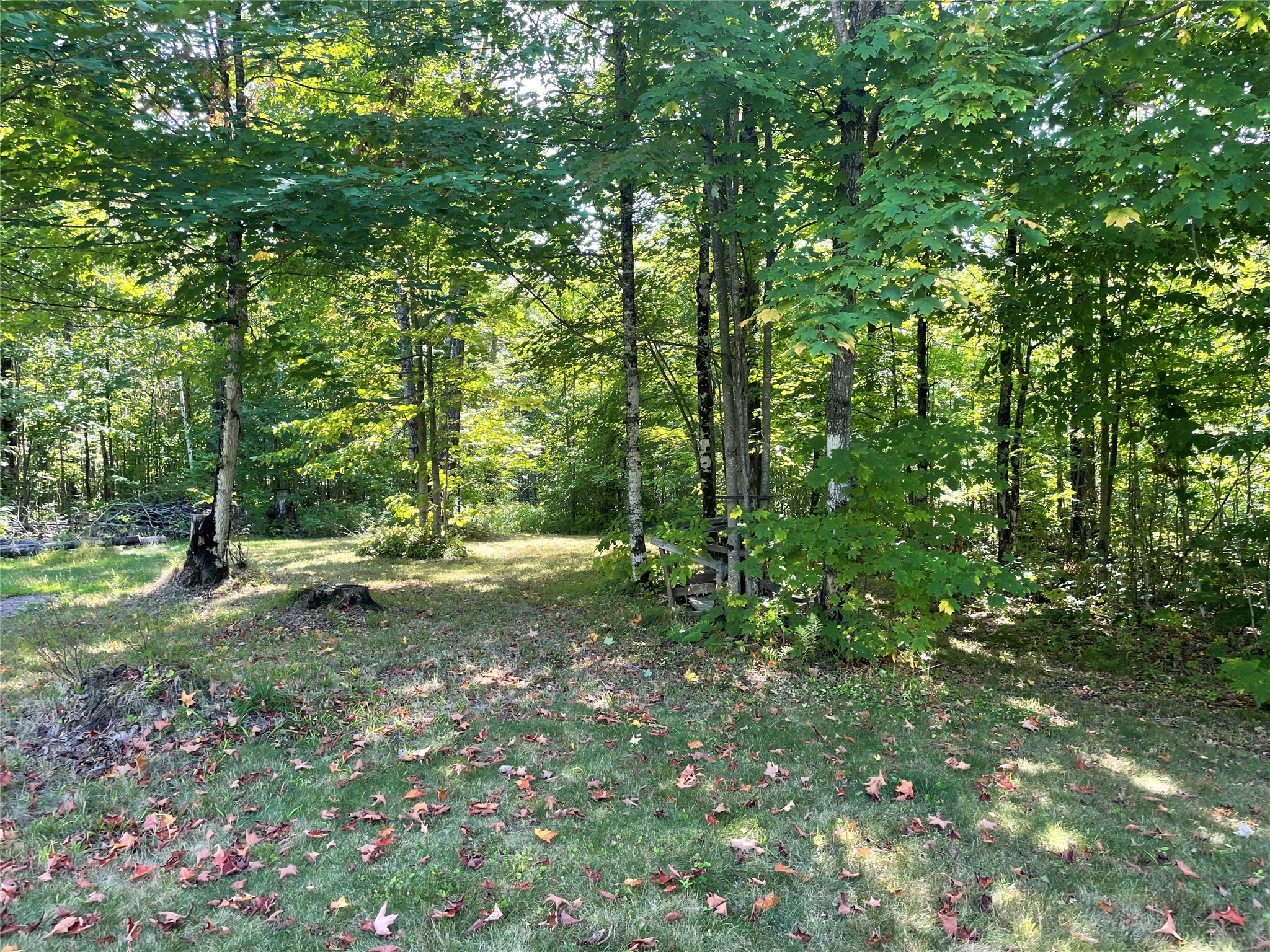 7154 W Mcdermott Road Property Photo 37