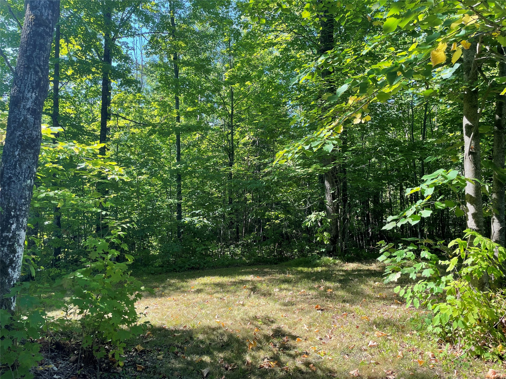 7154 W Mcdermott Road Property Photo 40