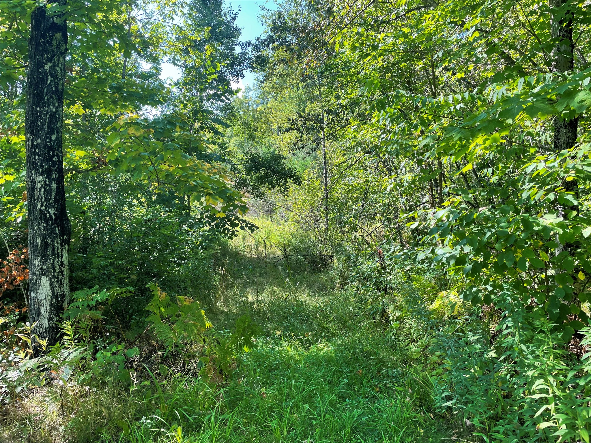 7154 W Mcdermott Road Property Photo 41