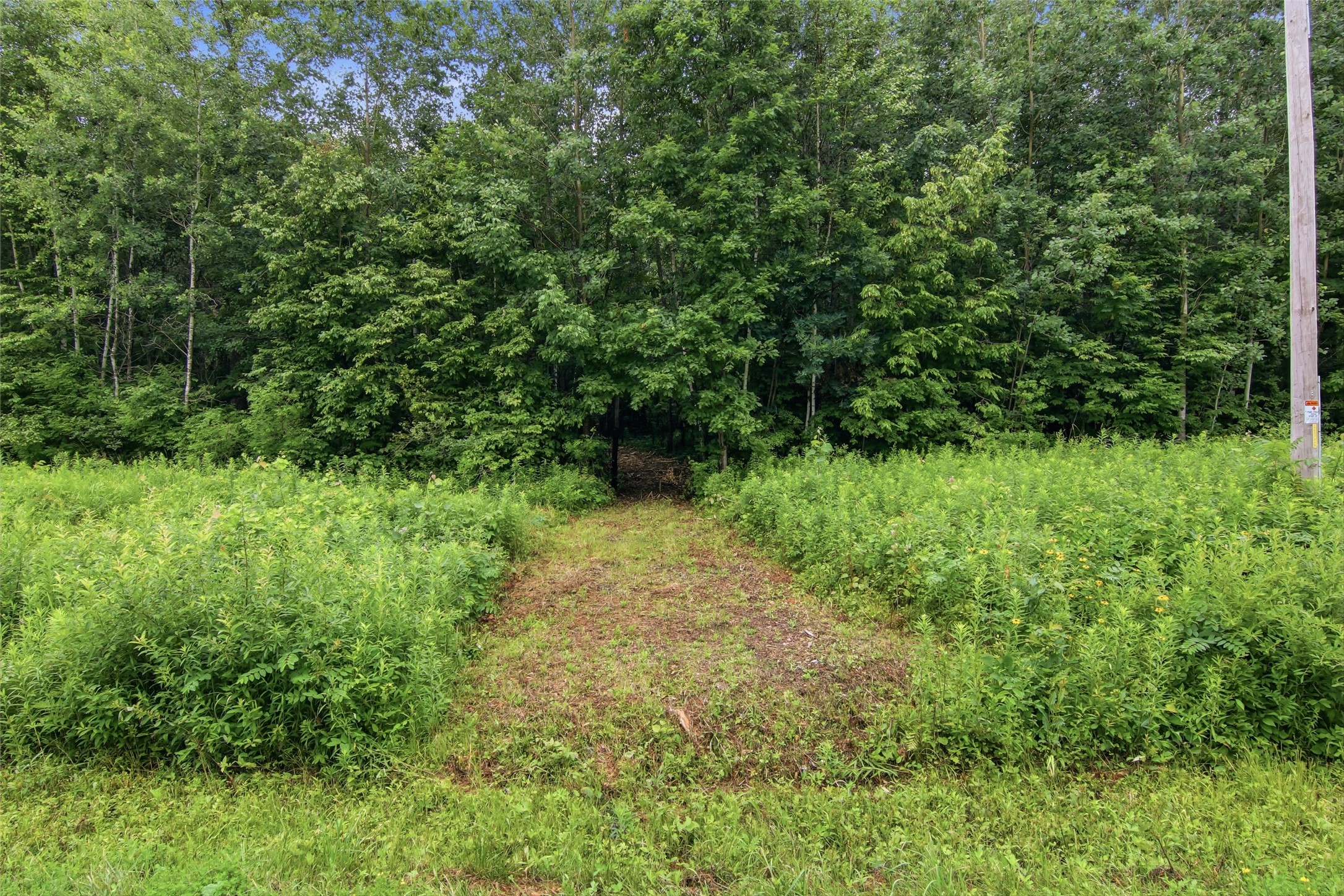 Lot 1 4th Street Property Photo 2