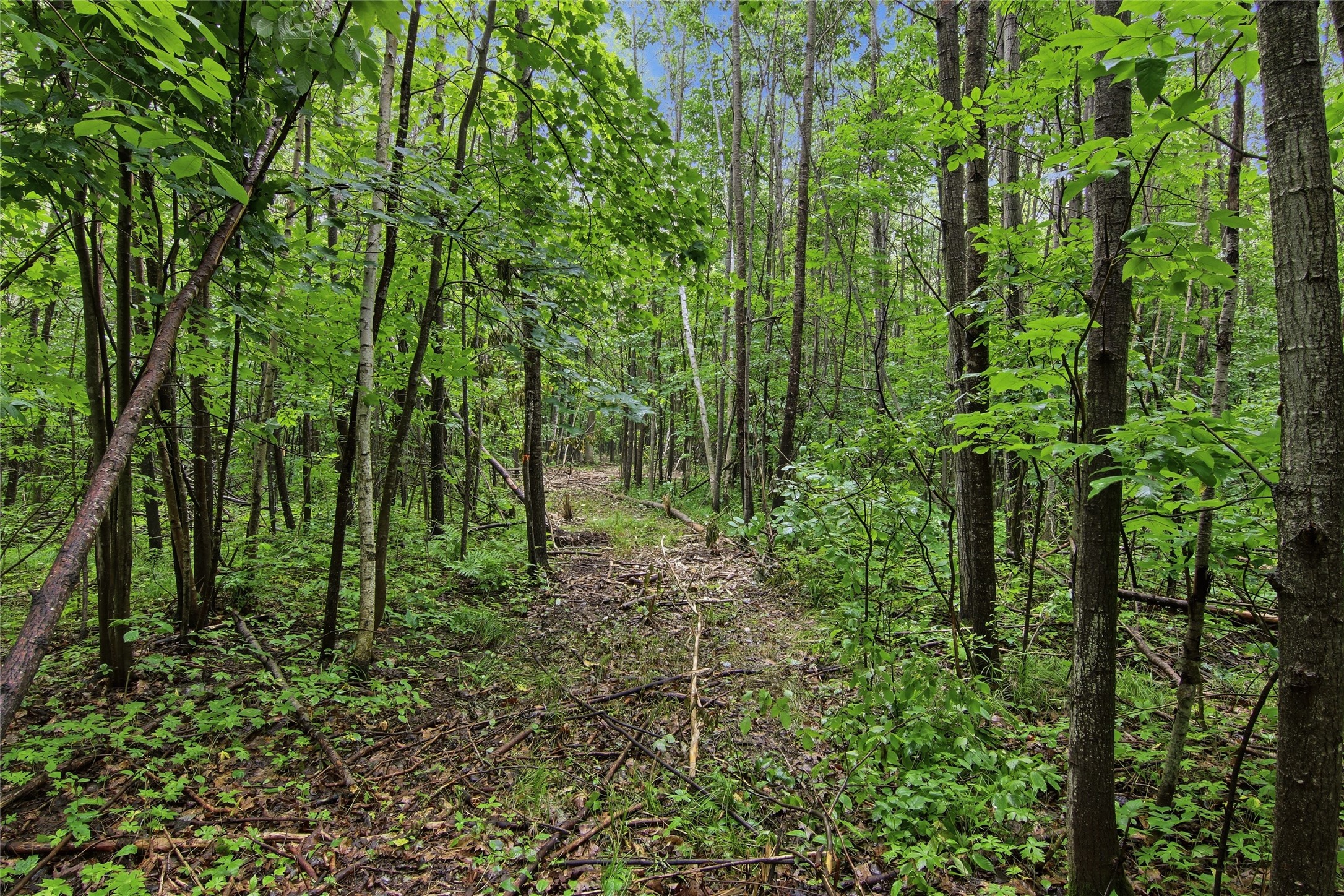 Lot 1 4th Street Property Photo 13