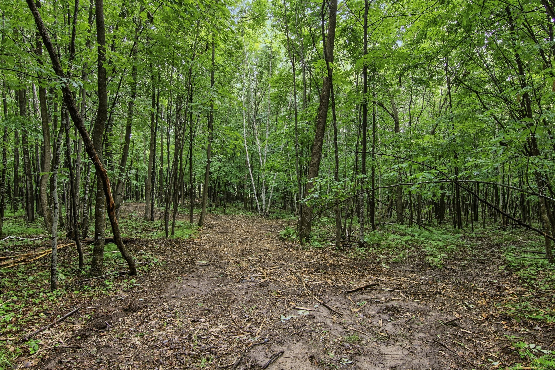 Lot 1 4th Street Property Photo 16