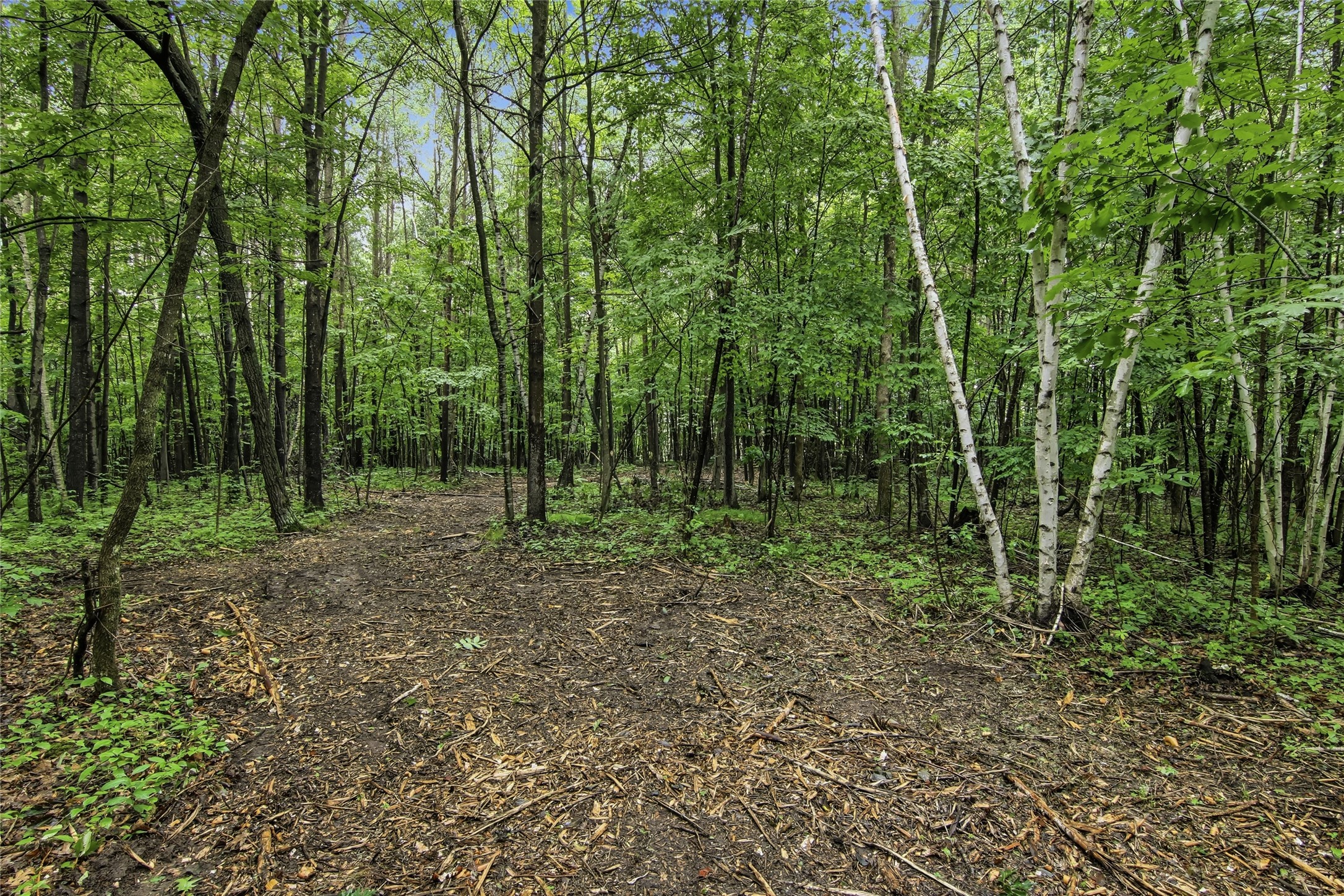 Lot 1 4th Street Property Photo 18