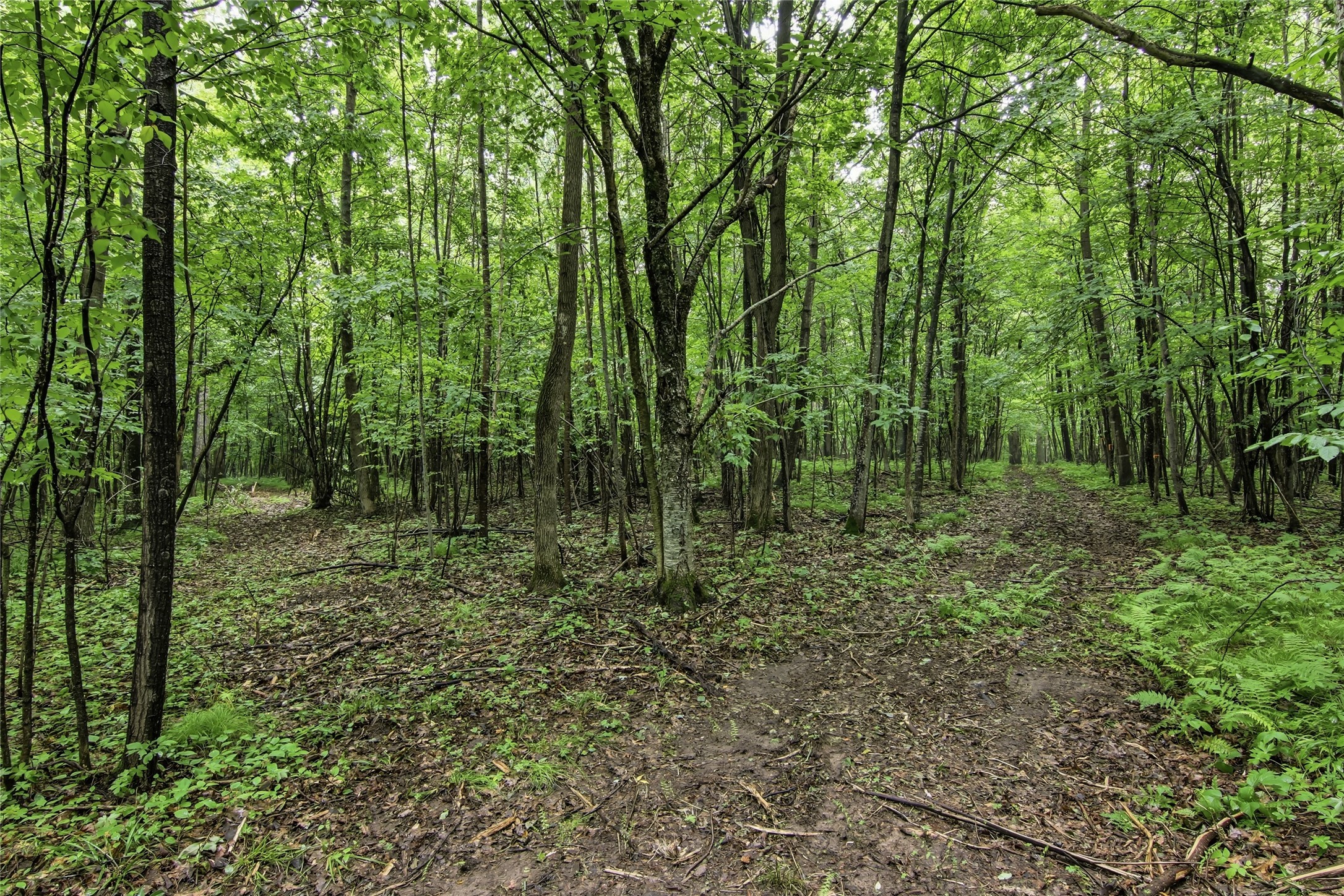 Lot 1 4th Street Property Photo 19