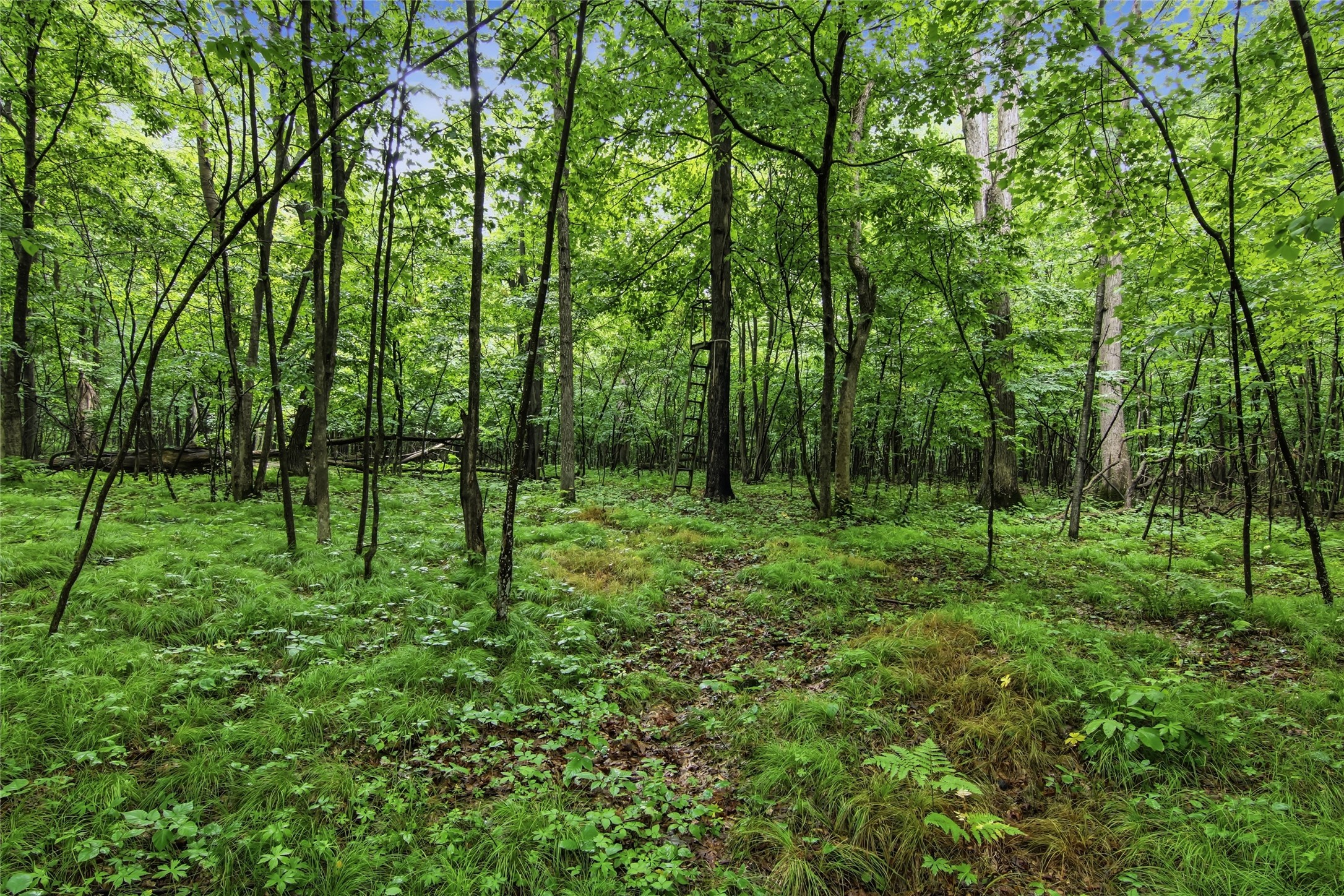 Lot 1 4th Street Property Photo 21