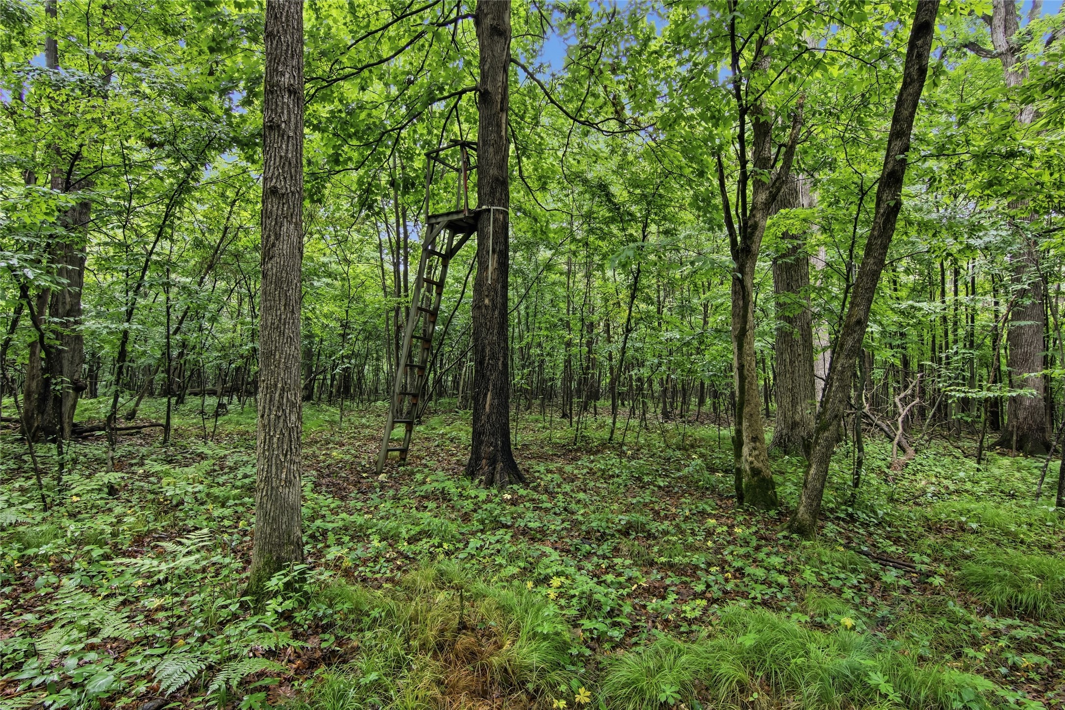 Lot 1 4th Street Property Photo 22